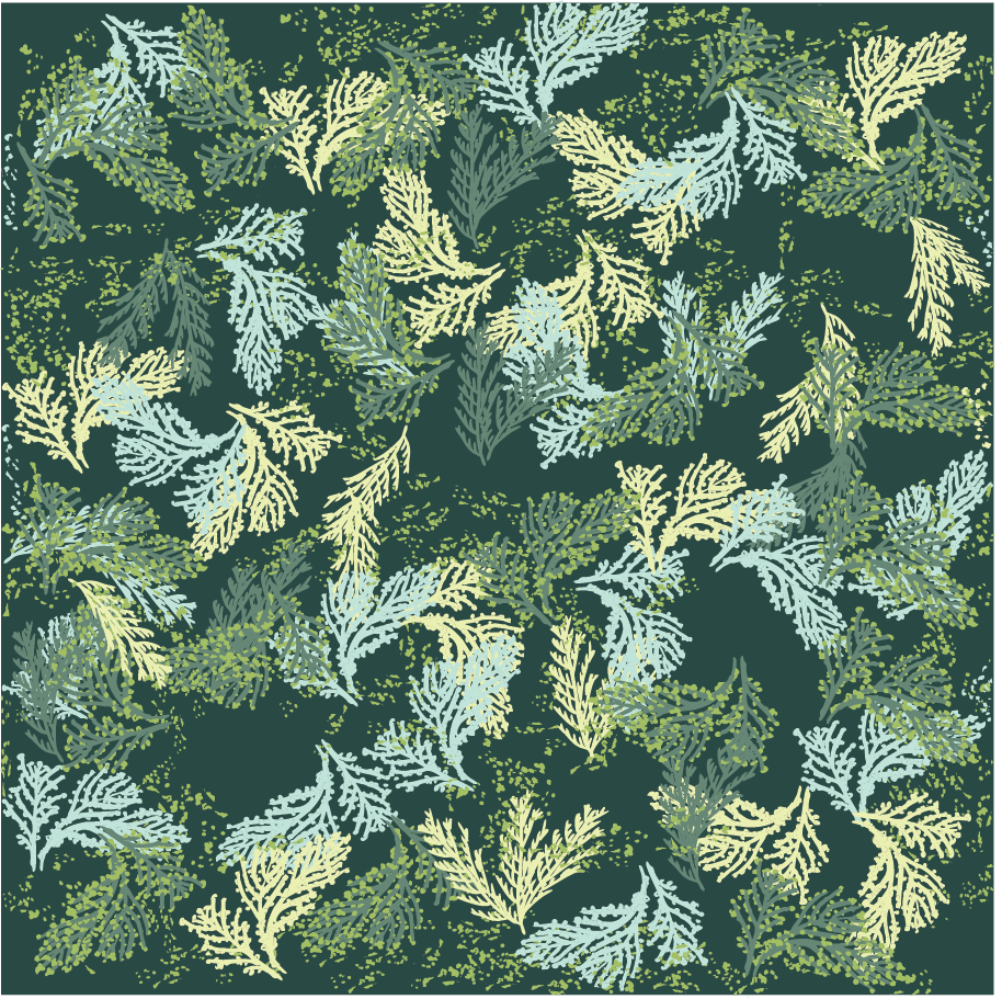 Asset 1600.png