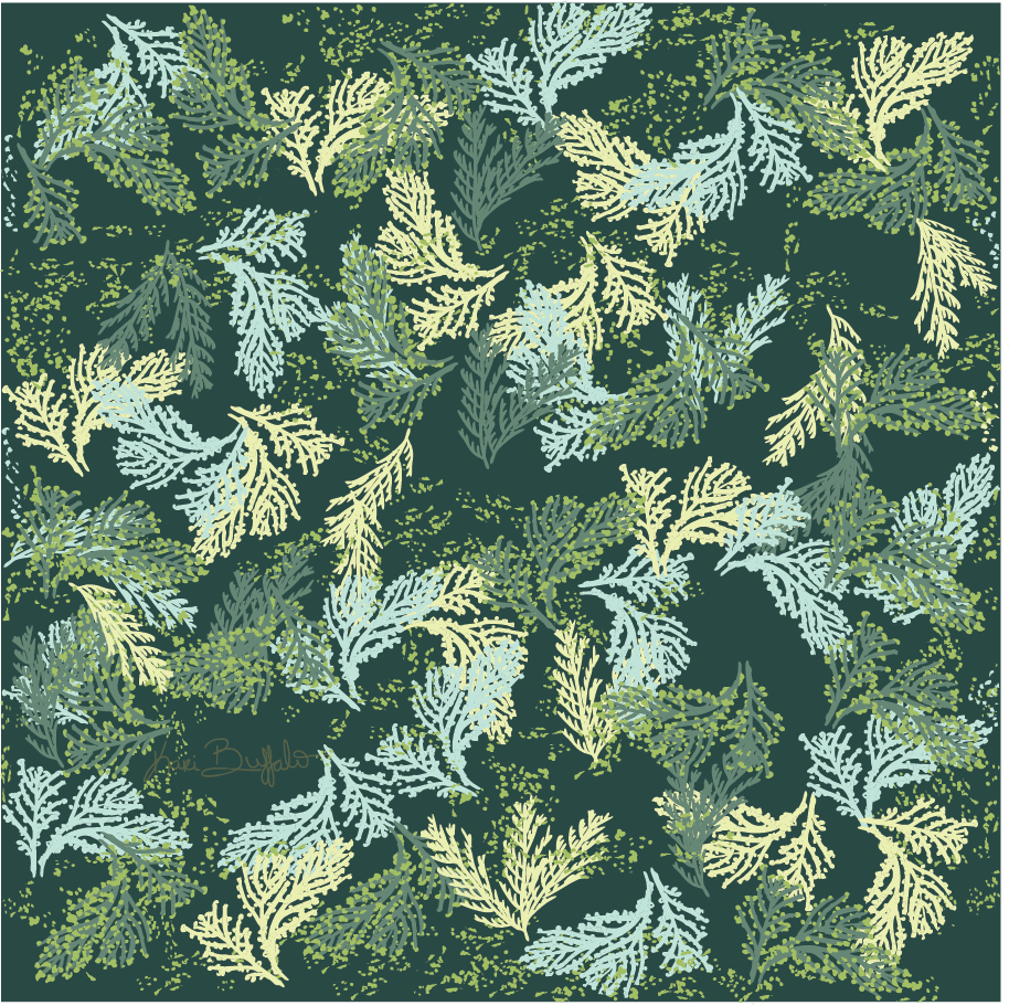 Moody Spruce