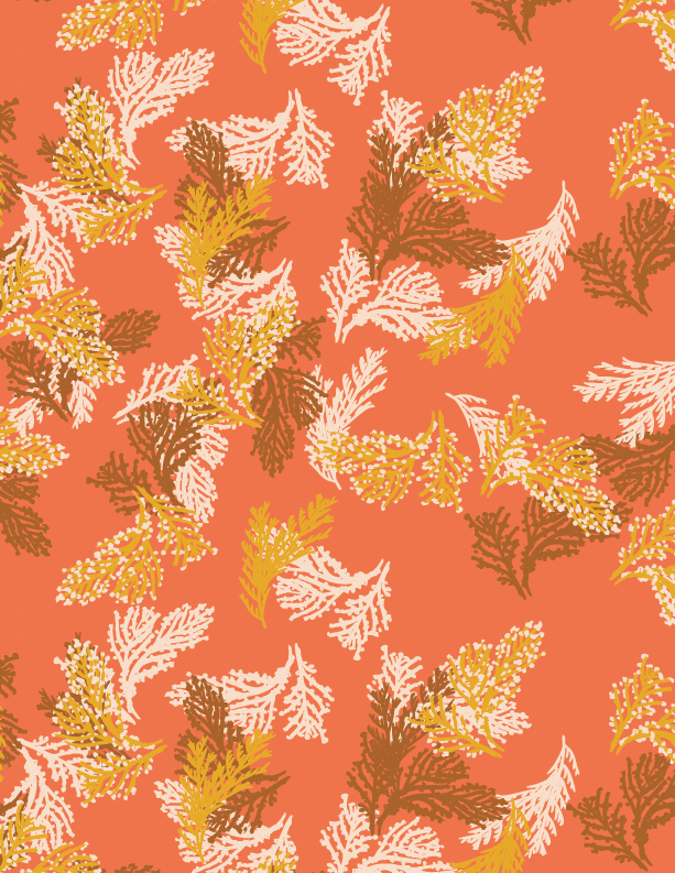orange.png