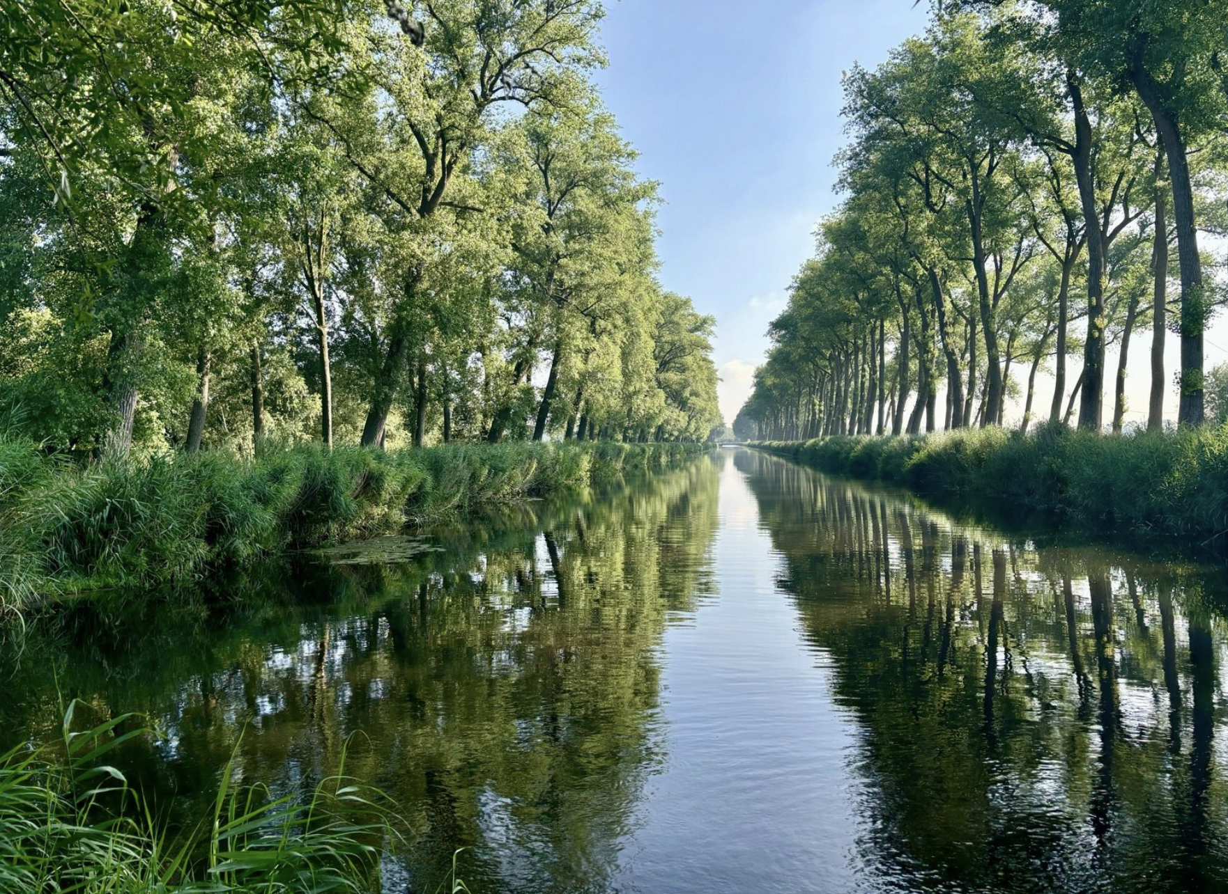 Les polders de Dam