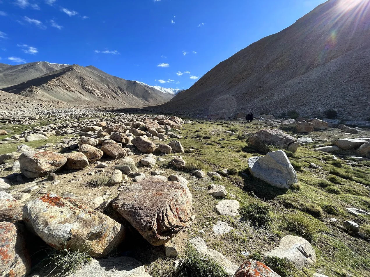 Alpine meadows above Likir Village where dung and turf is gathered from