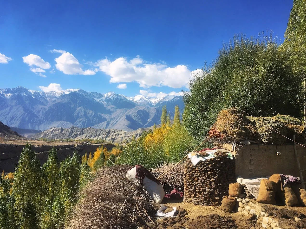 A rural landscape with a small stone and mud hut, colorful trees, and snow-capped mountains in the distance under a bright blue sky with clouds.