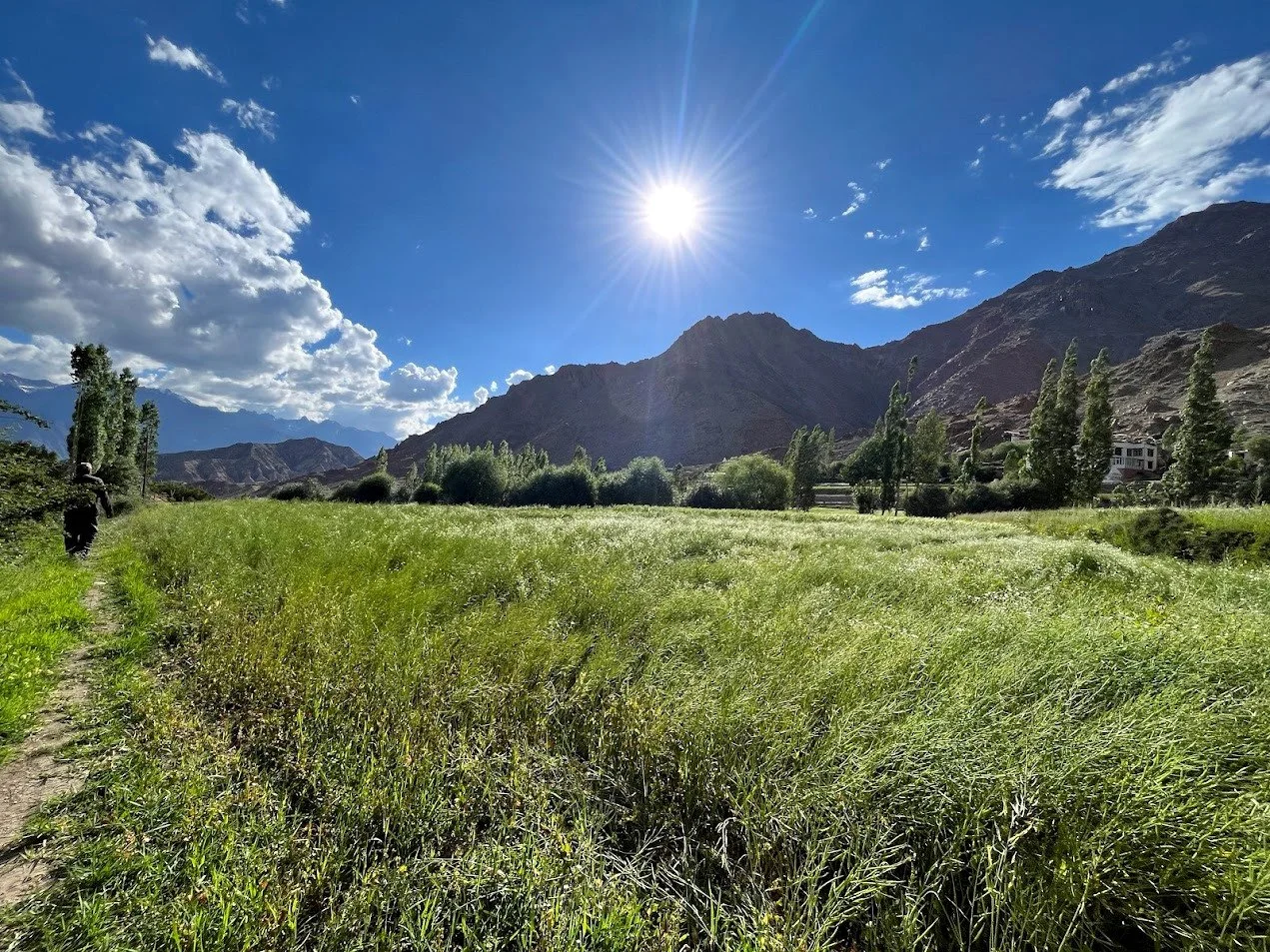 A sunny landscape with green fields, trees, mountains in the background, and a blue sky with white clouds.