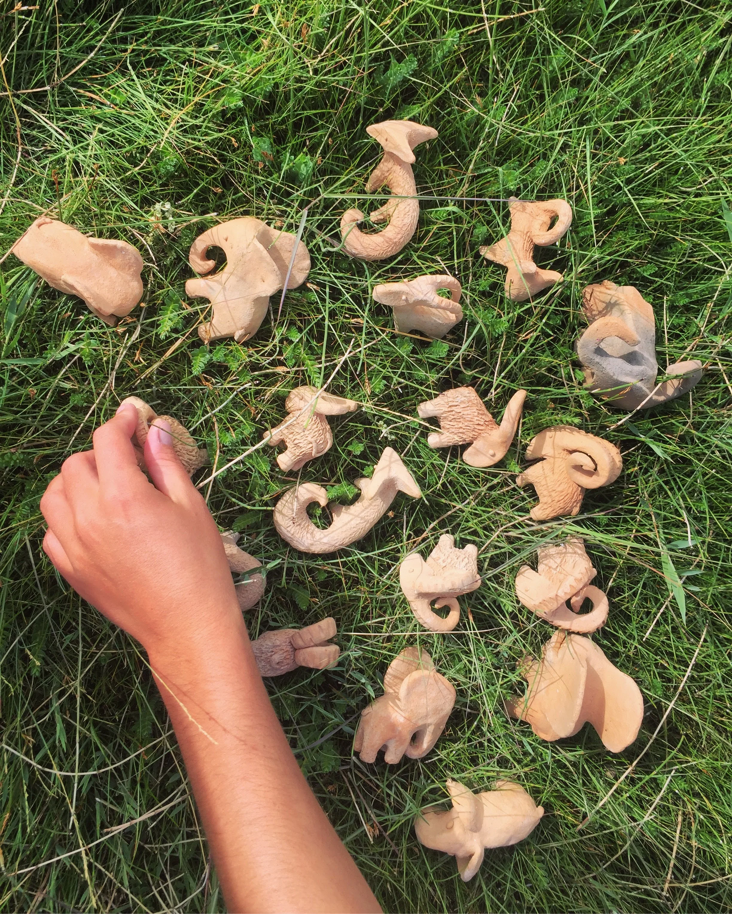 Various wild mushrooms scattered on green grass, with a person's hand reaching toward some of the mushrooms.