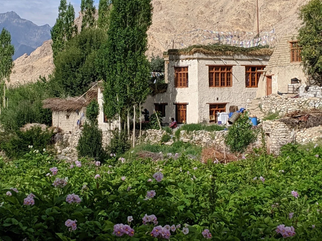 Likir Pottery Summer Farm and Home