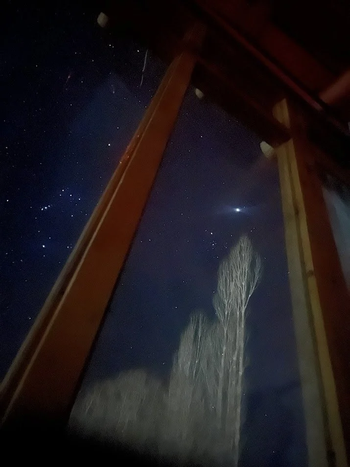 Night sky view through a window showing stars, a comet or bright object, and a tall, leafless tree outside.