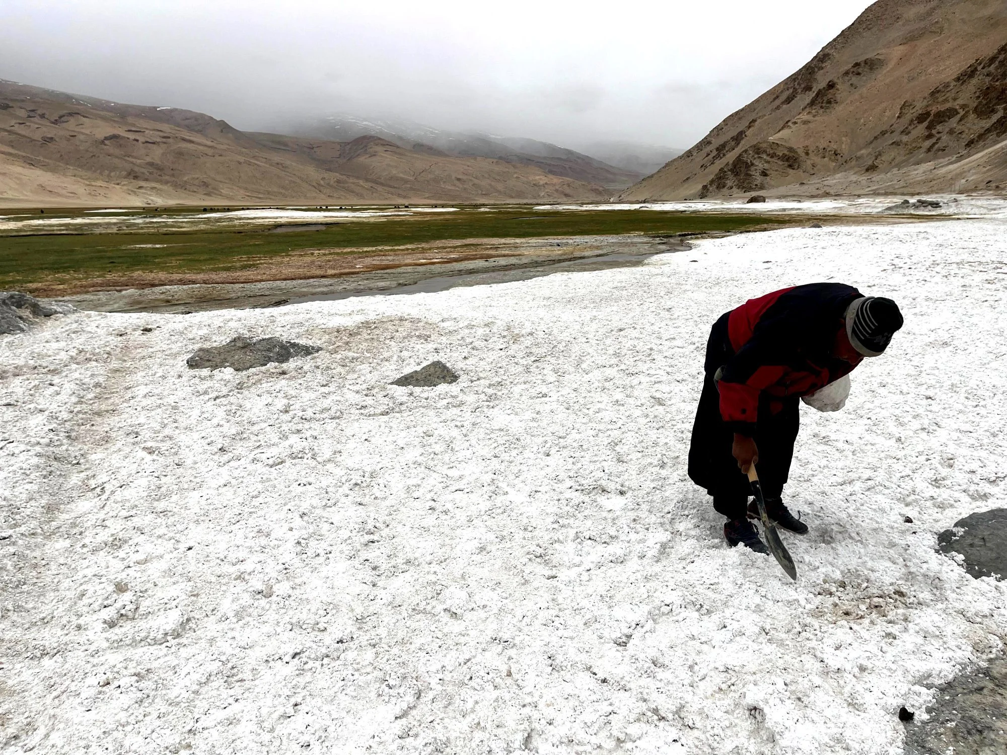 Abbaley at Puga valley in Changthang looking for the right spot to collect glaze