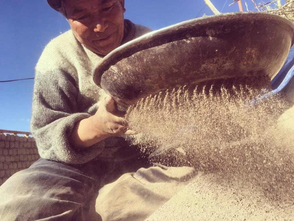 Abba'ley Lamchung Tsepail sieving clay from a large container in an outdoor setting.