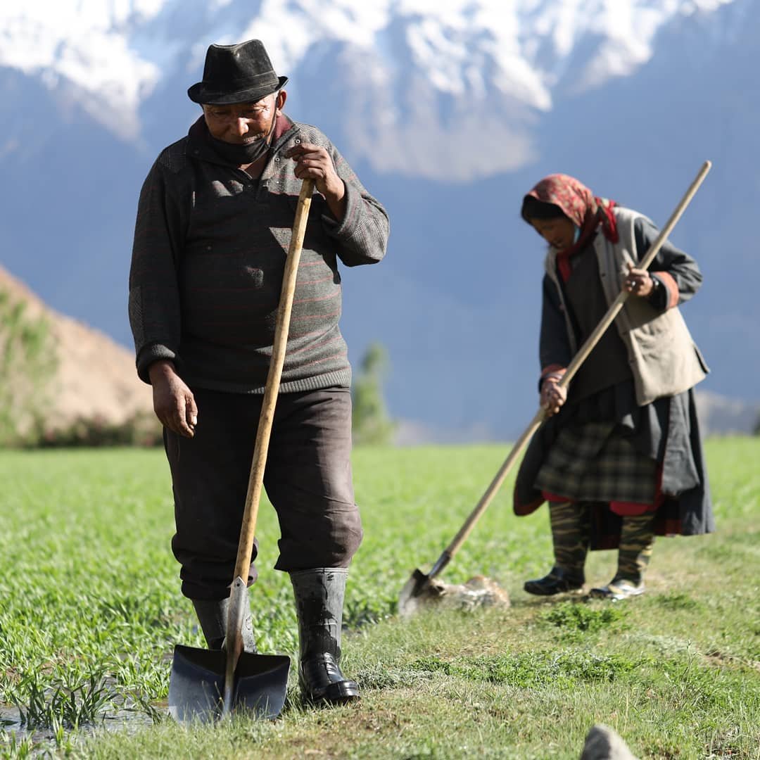 Two elderly people working in a green field with mountain peaks in the background. The man in the foreground wears a black hat and coat and holds a shovel, while the woman in the background wears a headscarf and vest and works with a tool in the soil