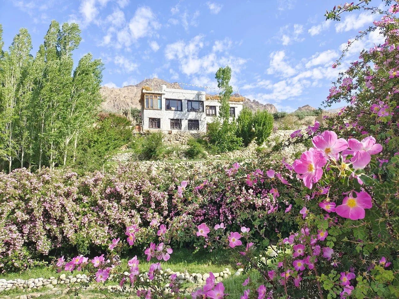 A house on a hillside surrounded by lush green trees and pink flowering bushes with mountains and a partly cloudy blue sky in the background.