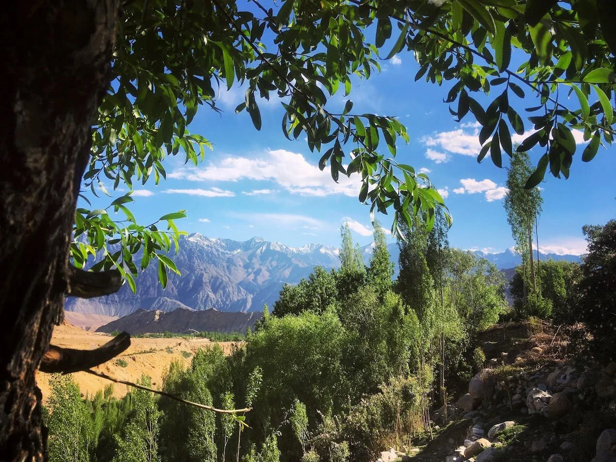 A landscape view of mountains with snow-capped peaks in the distance, framed by green trees and foliage in the foreground, under a blue sky with scattered clouds.