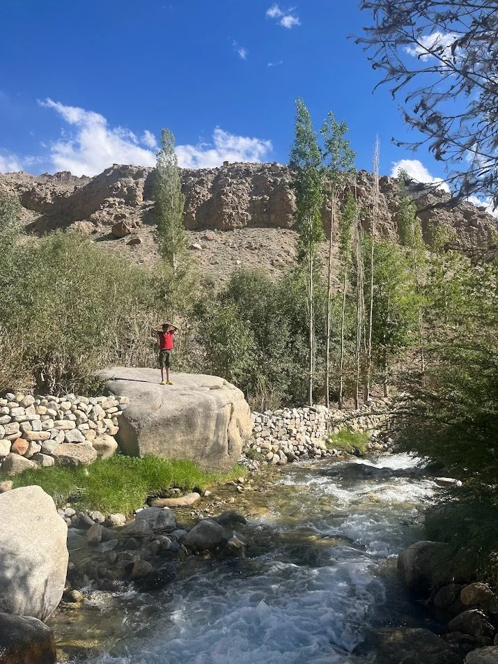 A person standing on a large rock beside a flowing river, with trees, rocks, and a mountain under a partly cloudy sky.