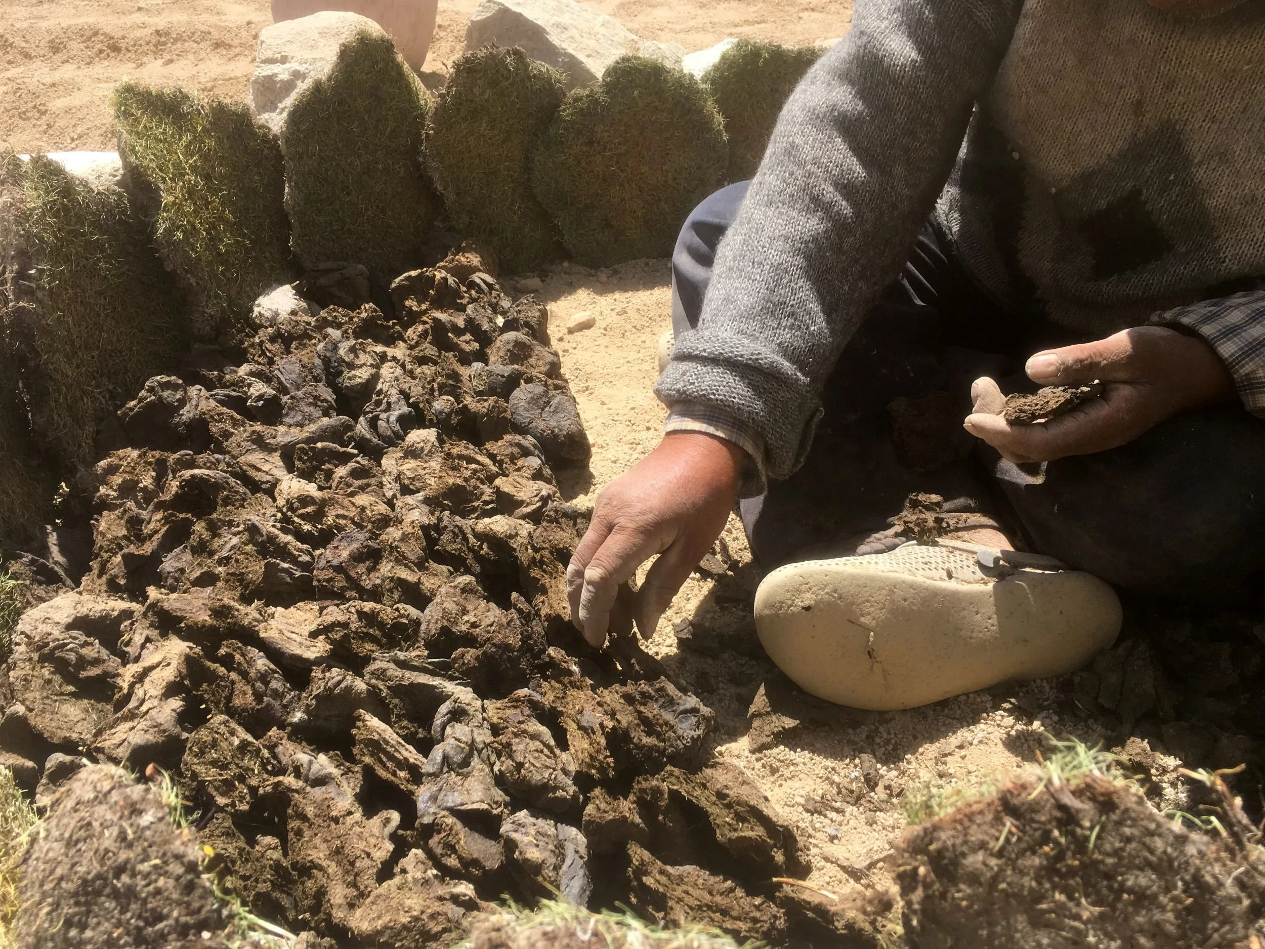 Carefully placing dried cattle dung cakes at the kiln base