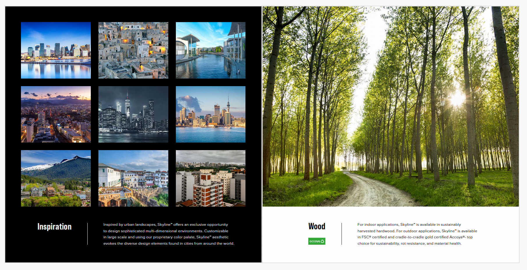 Screenshot 2026-03-21 at 7.27.05 PM.png