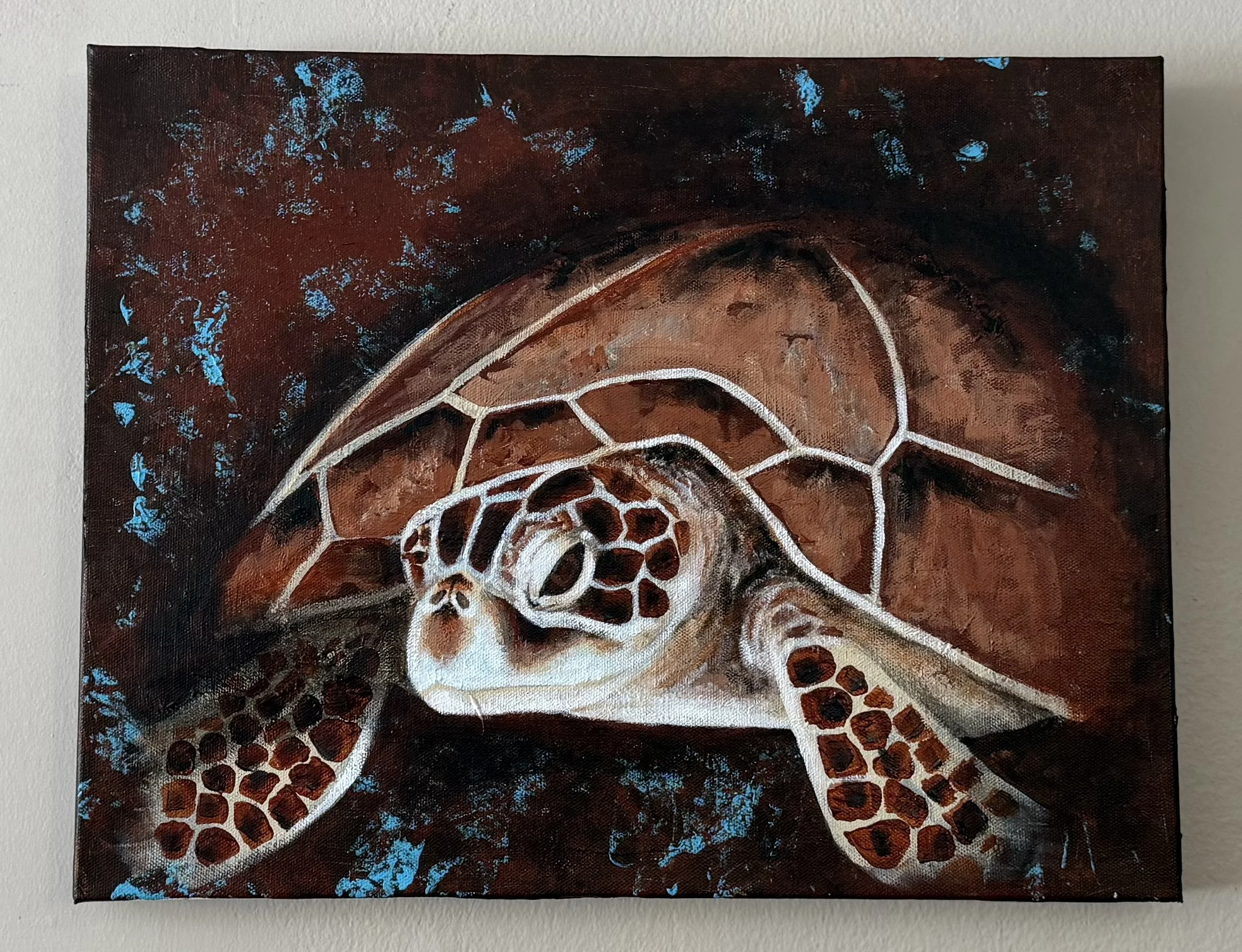 “Maddie’s Journey”