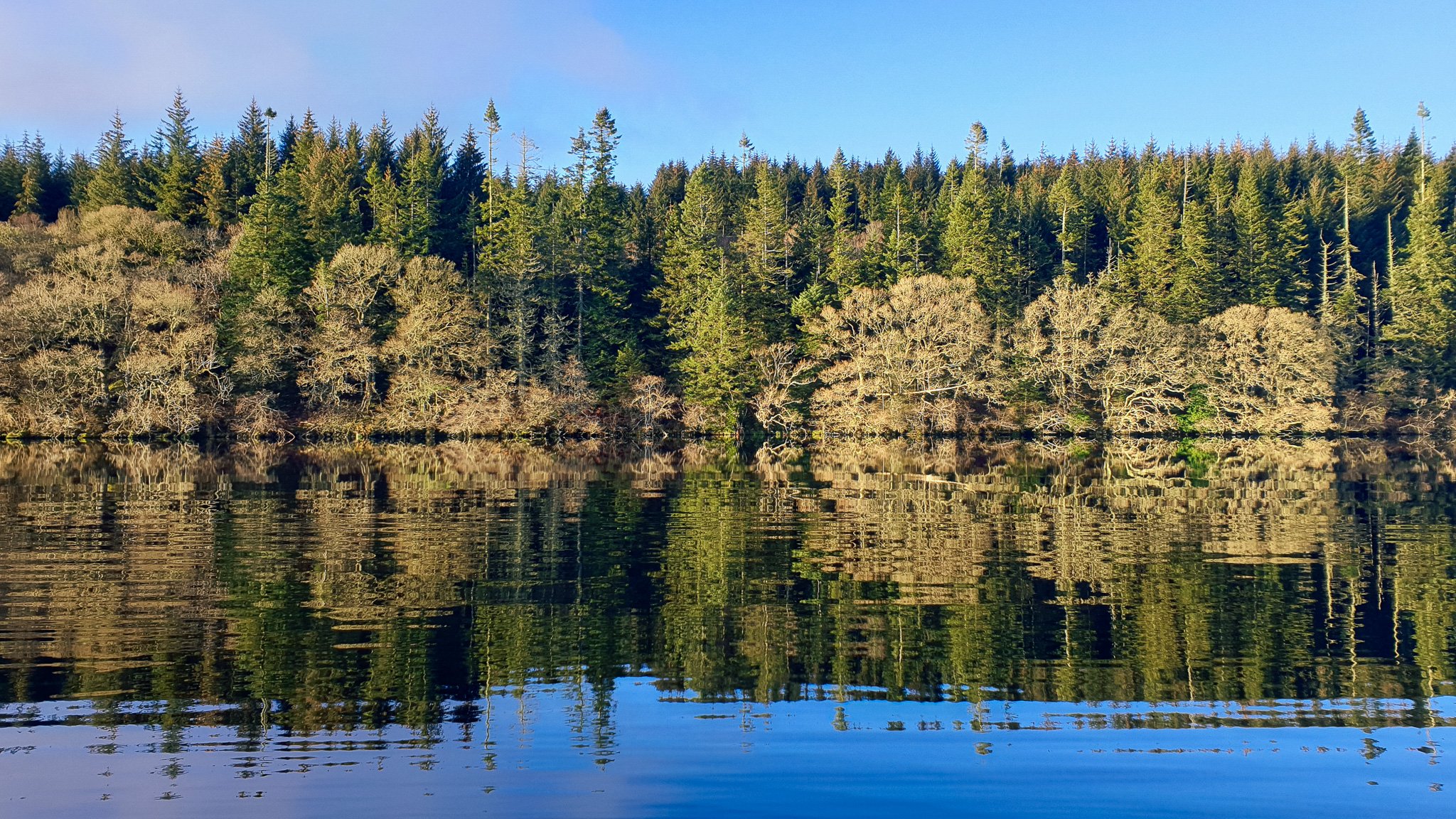 20191225_133942-Enhanced-SR.jpg