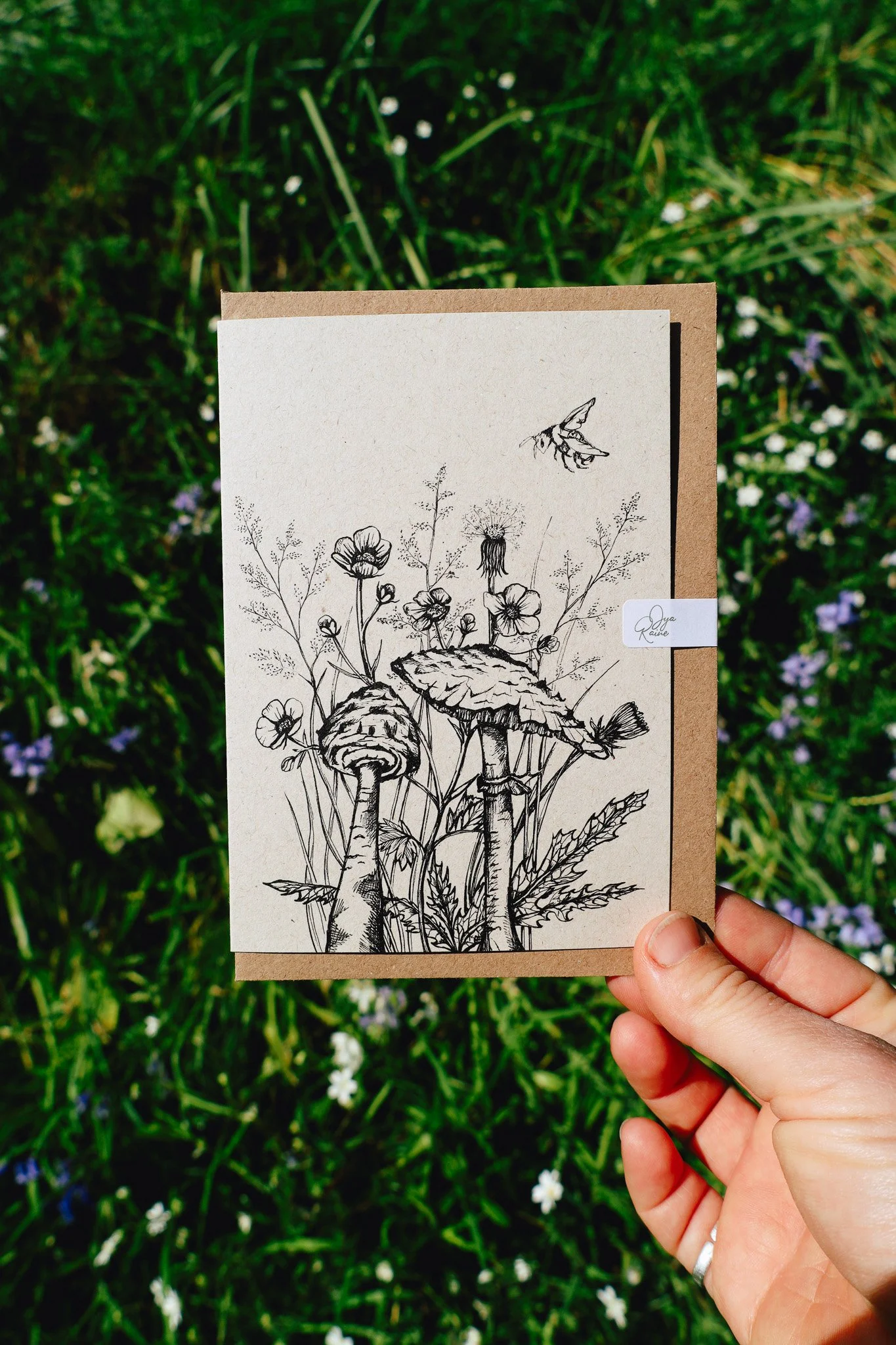 Parasol Mushroom Botanical Greeting Card