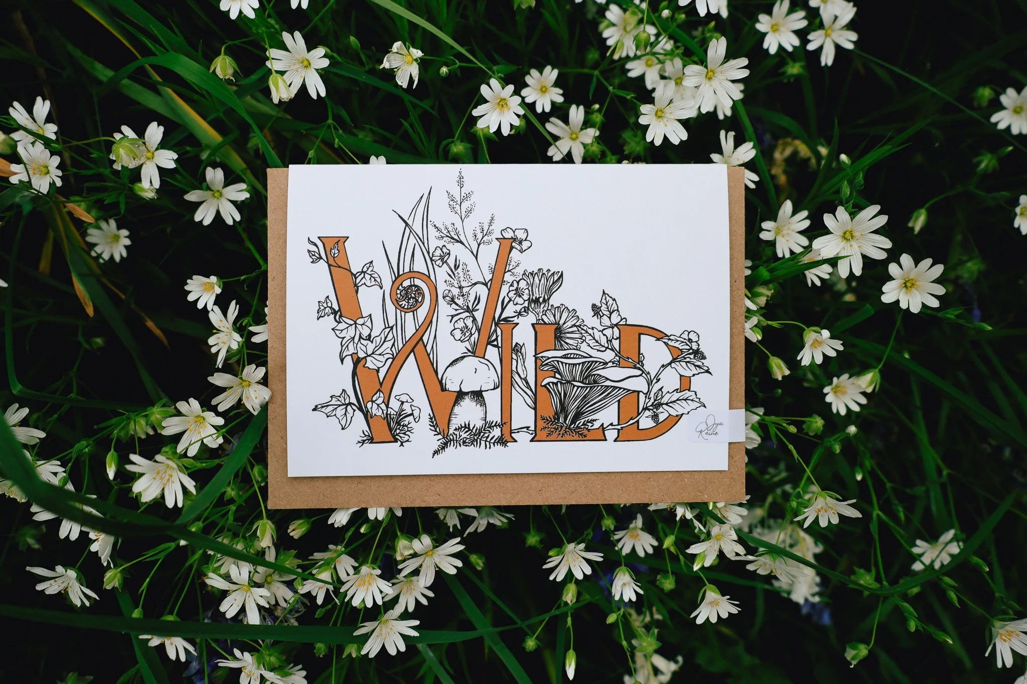 Wild6.jpg