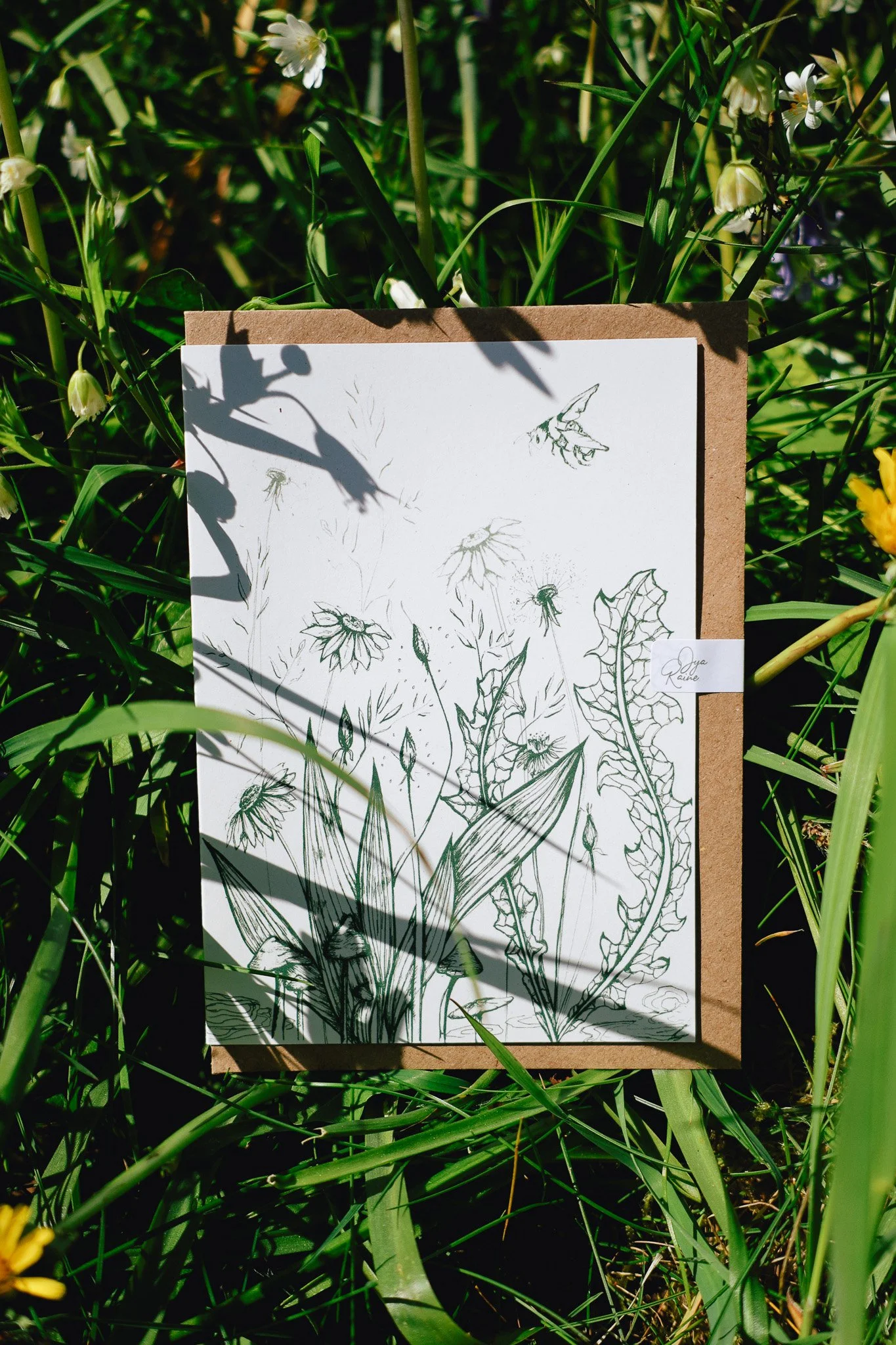Meadow2.jpg