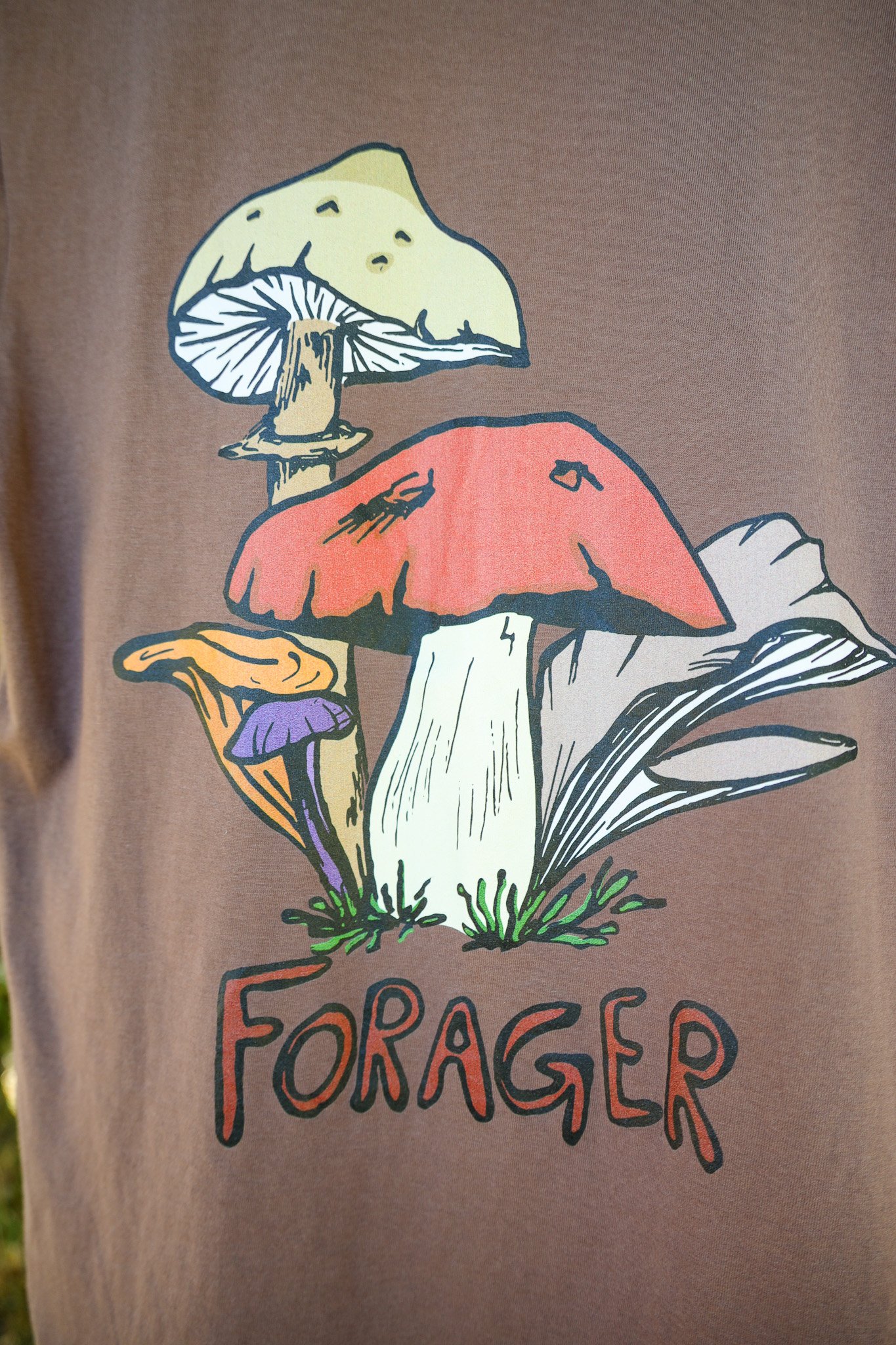 forager - T3.jpg