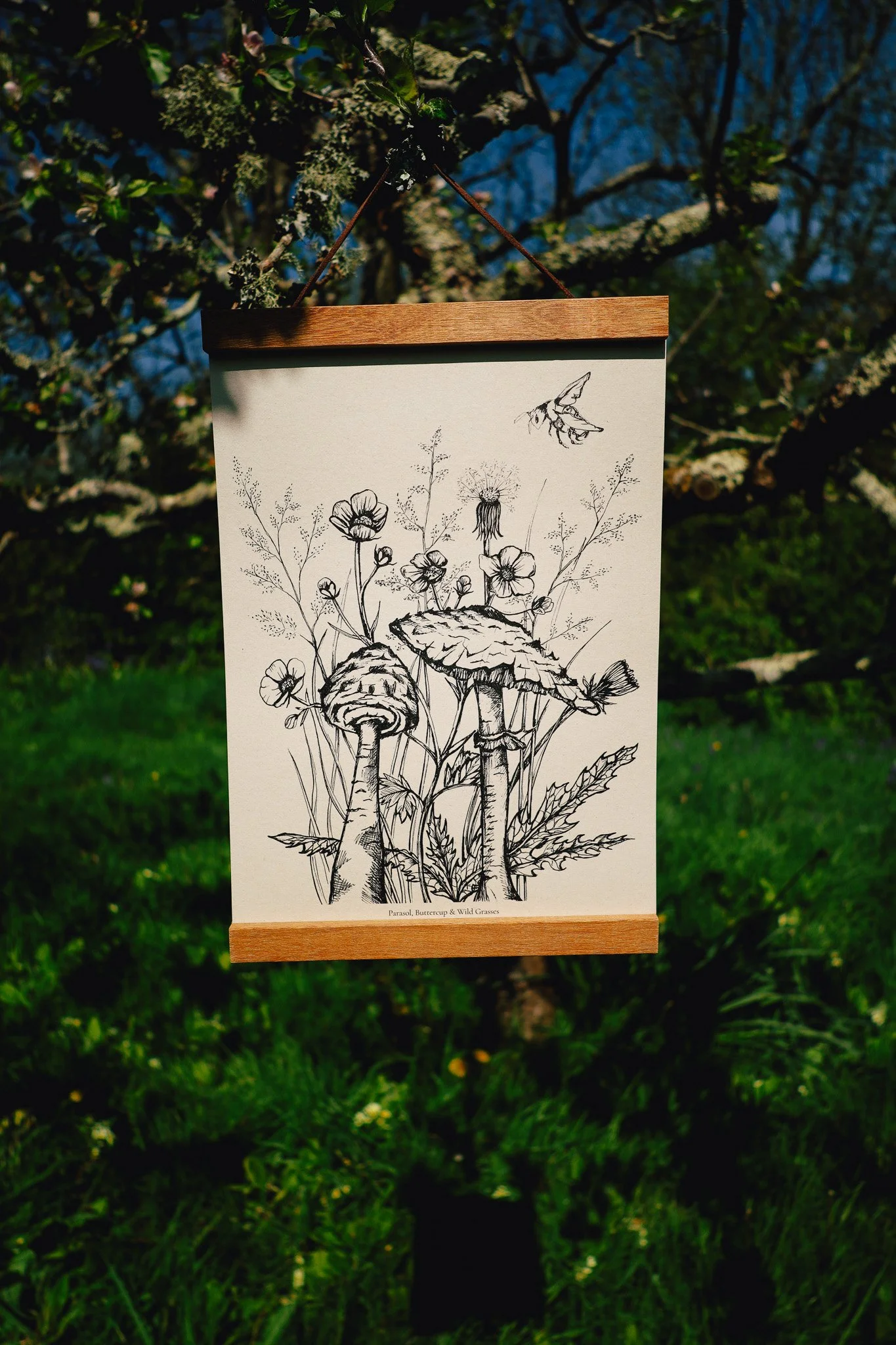 Parasol9.jpg