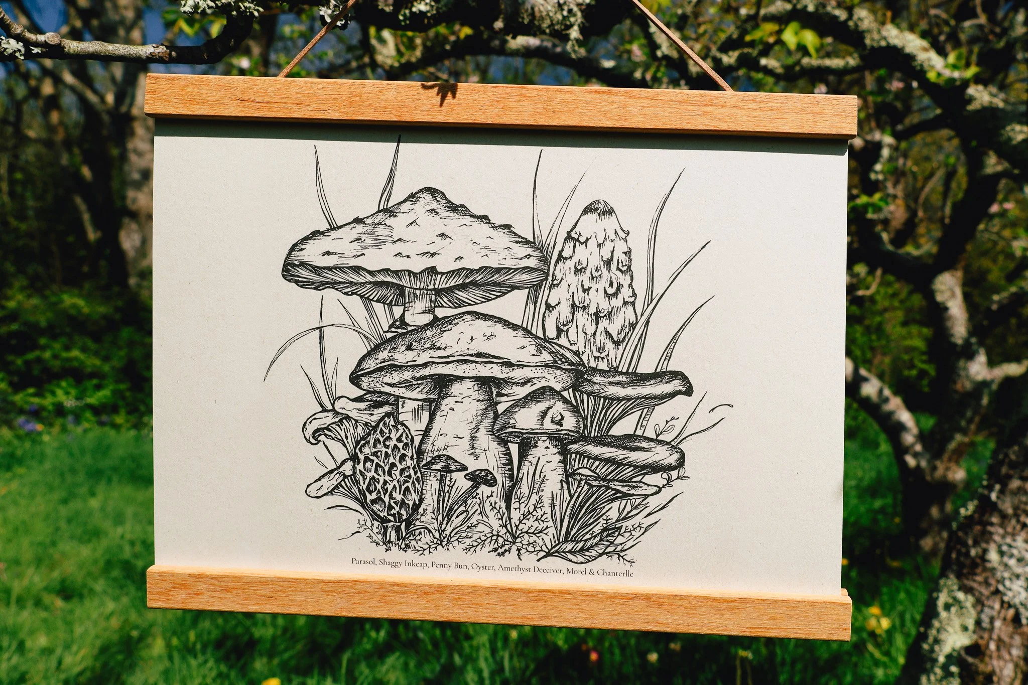 EdibleFungi2.jpg
