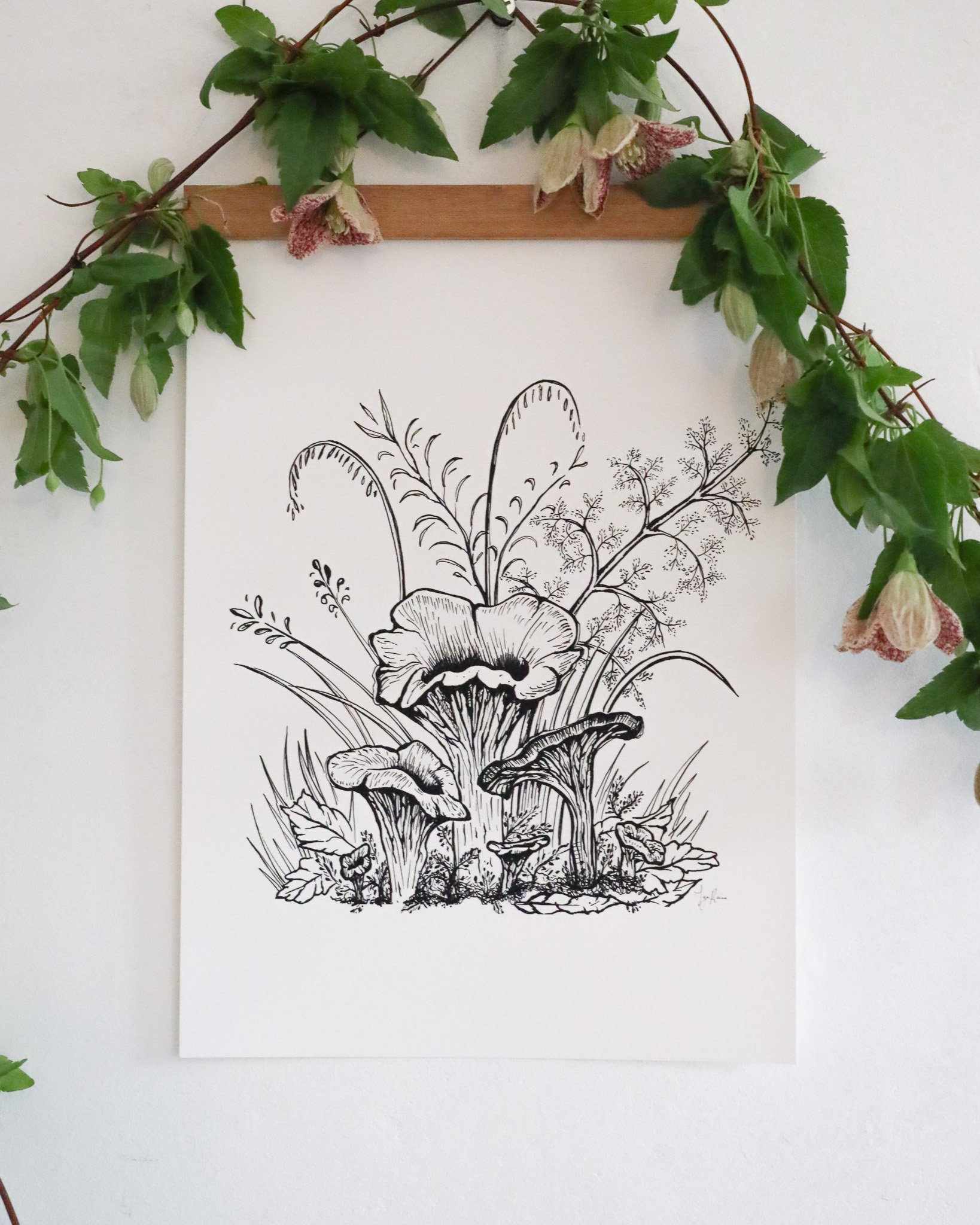 Chanterelle Mushroom Botanical Art Print