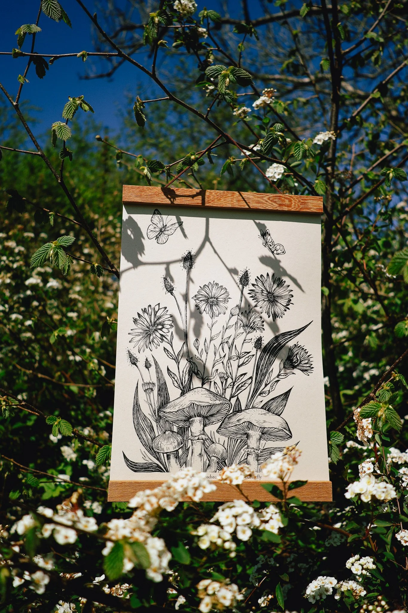 Calendula & Toadstool Botanical Print Wall Art Decor