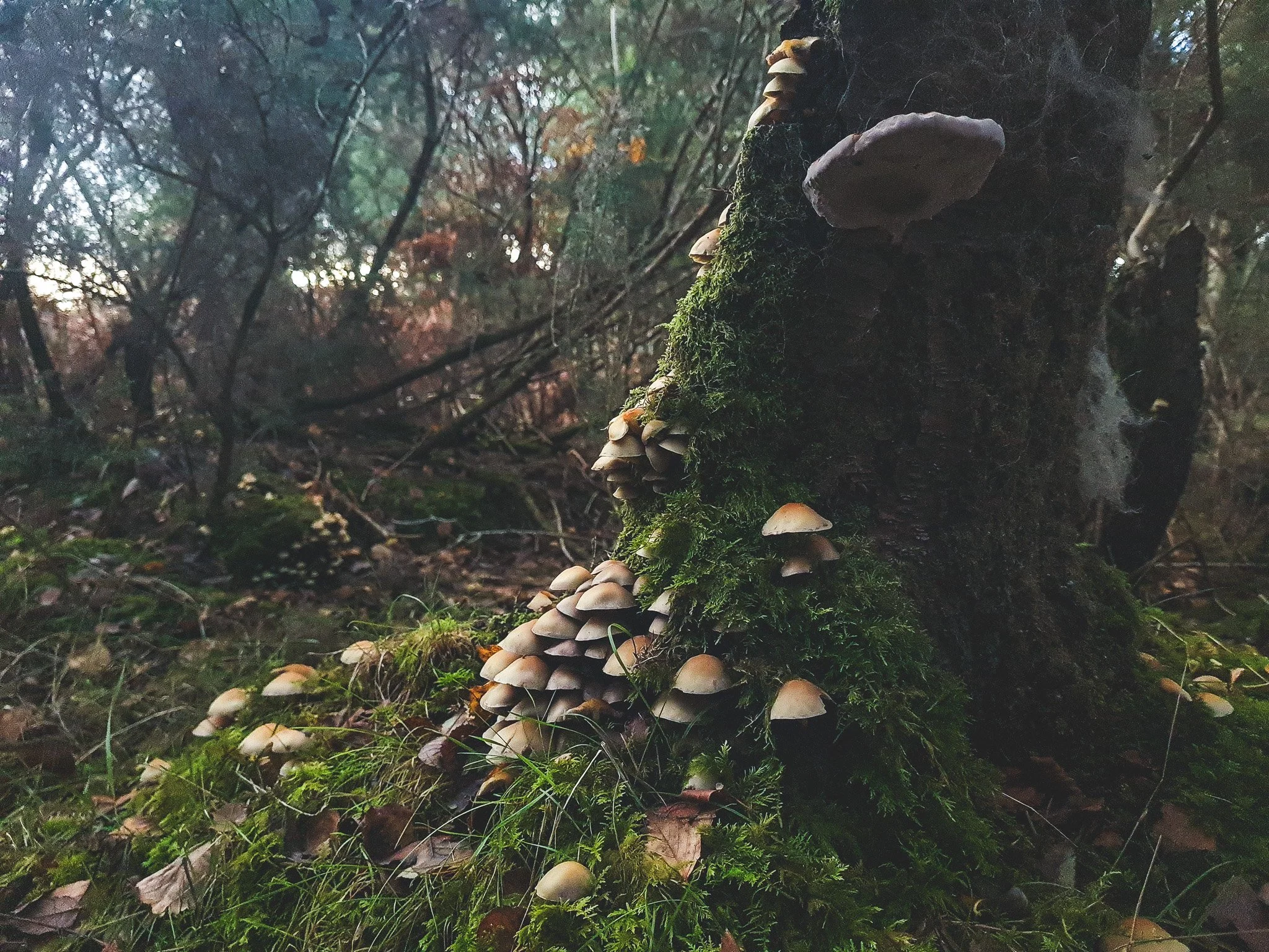 20221104_154854.jpg