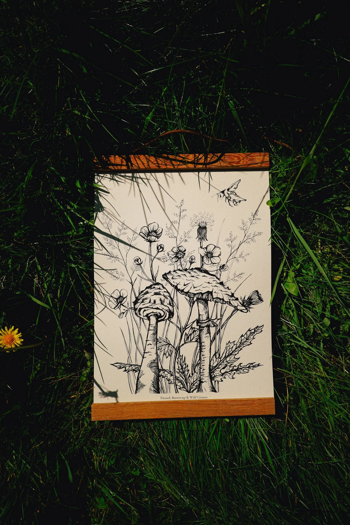 Parasol10.jpg