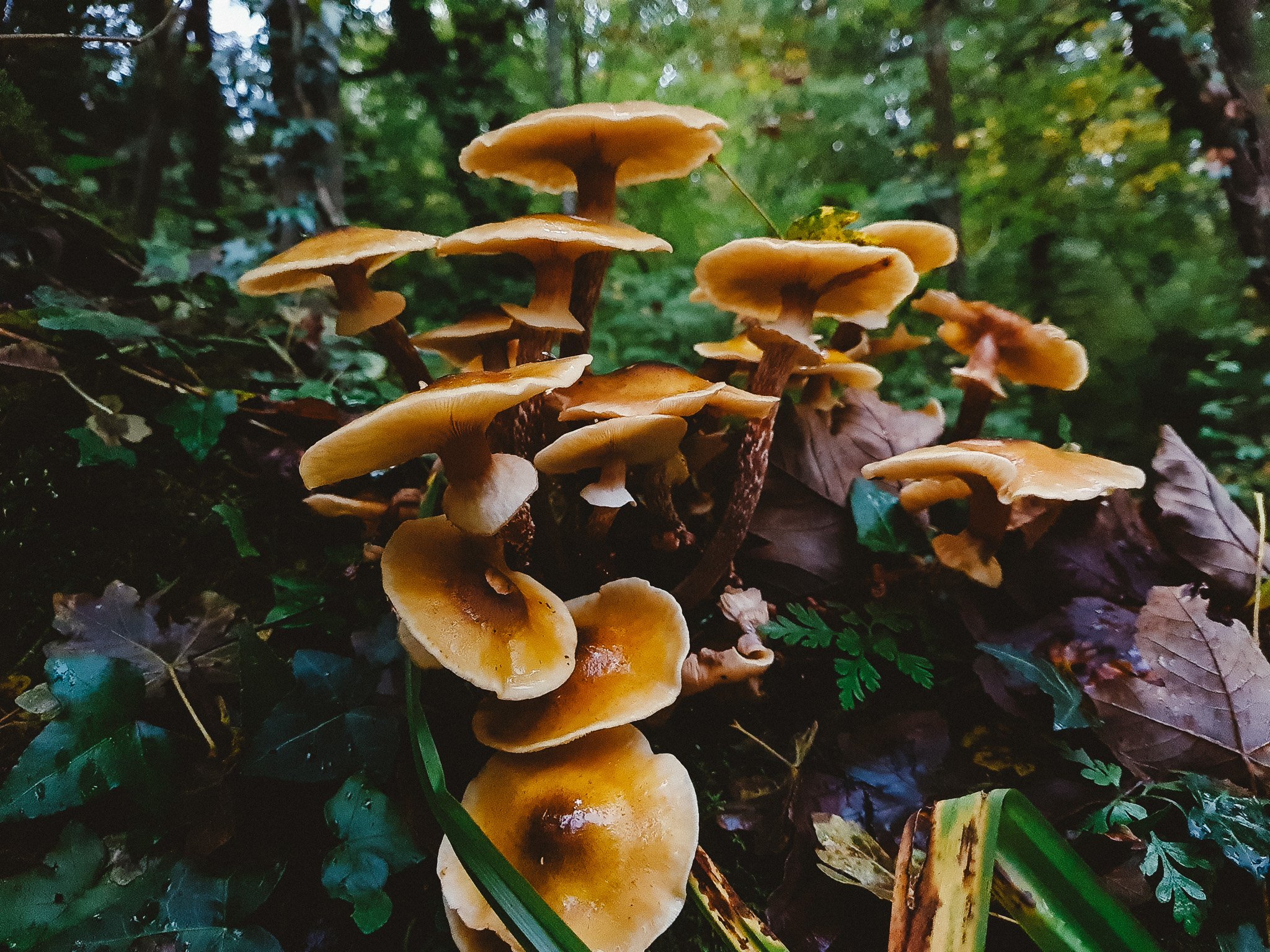 20221023_150347.jpg