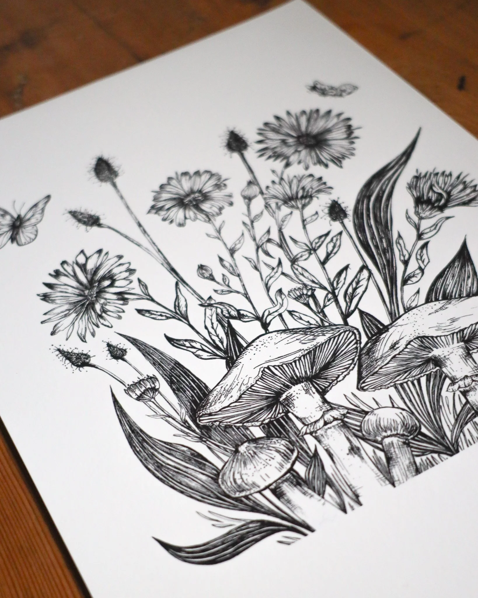 Calendula4.jpg