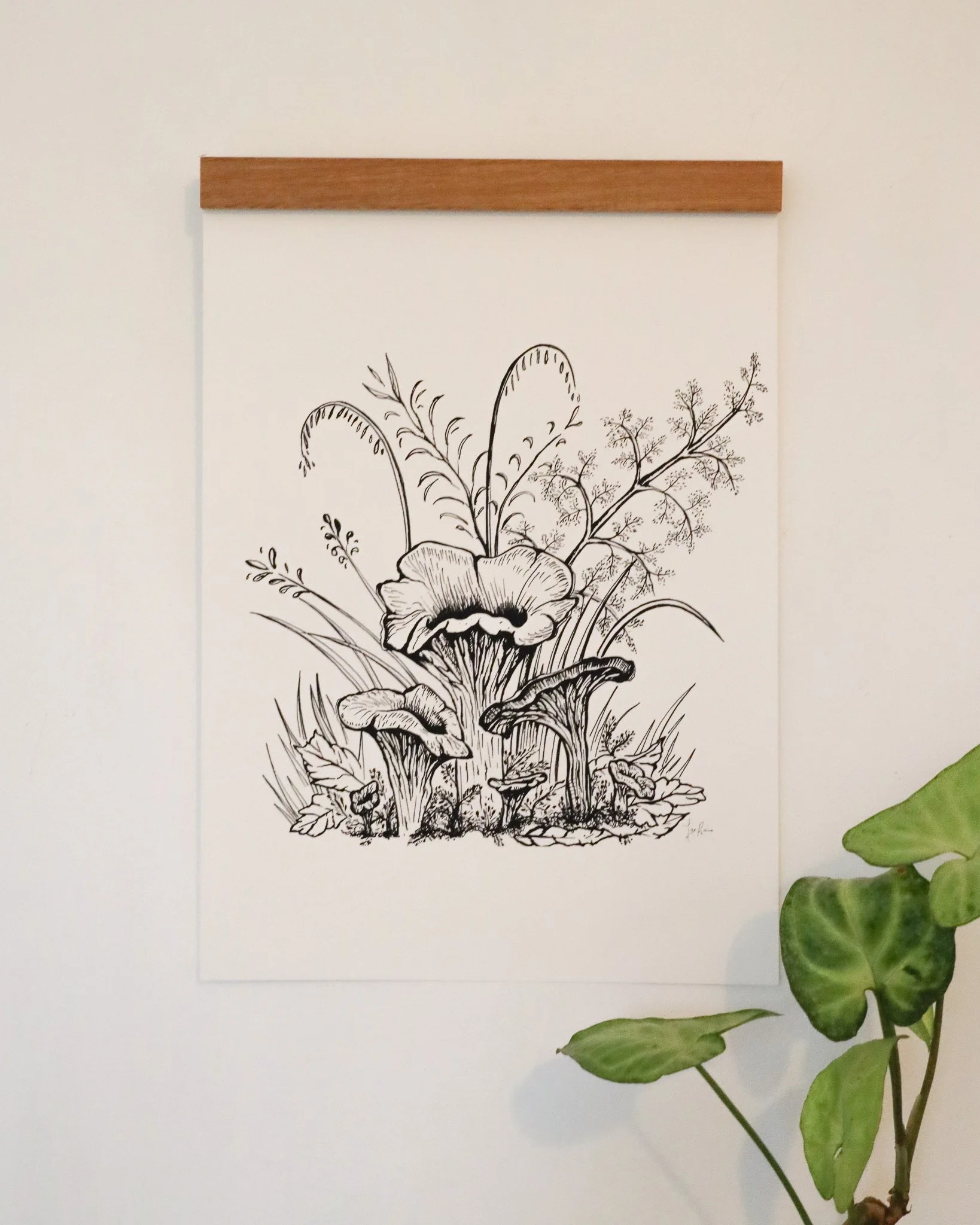 Chanterelle2.jpg