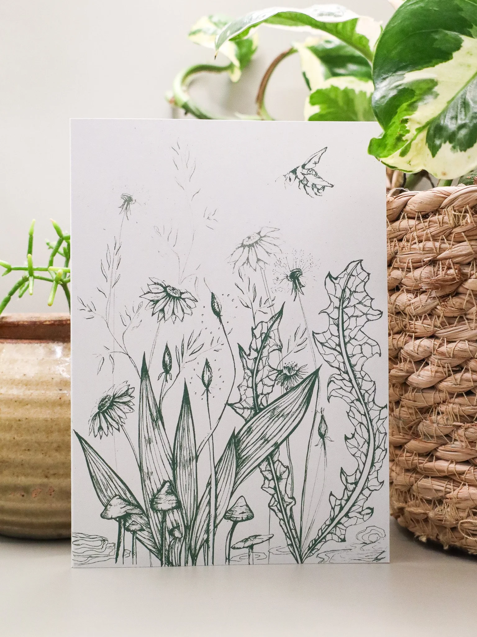 Meadow (green on white).jpg