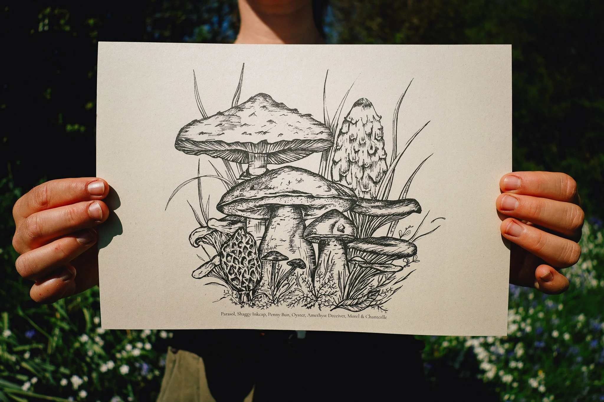 EdibleFungi6.jpg