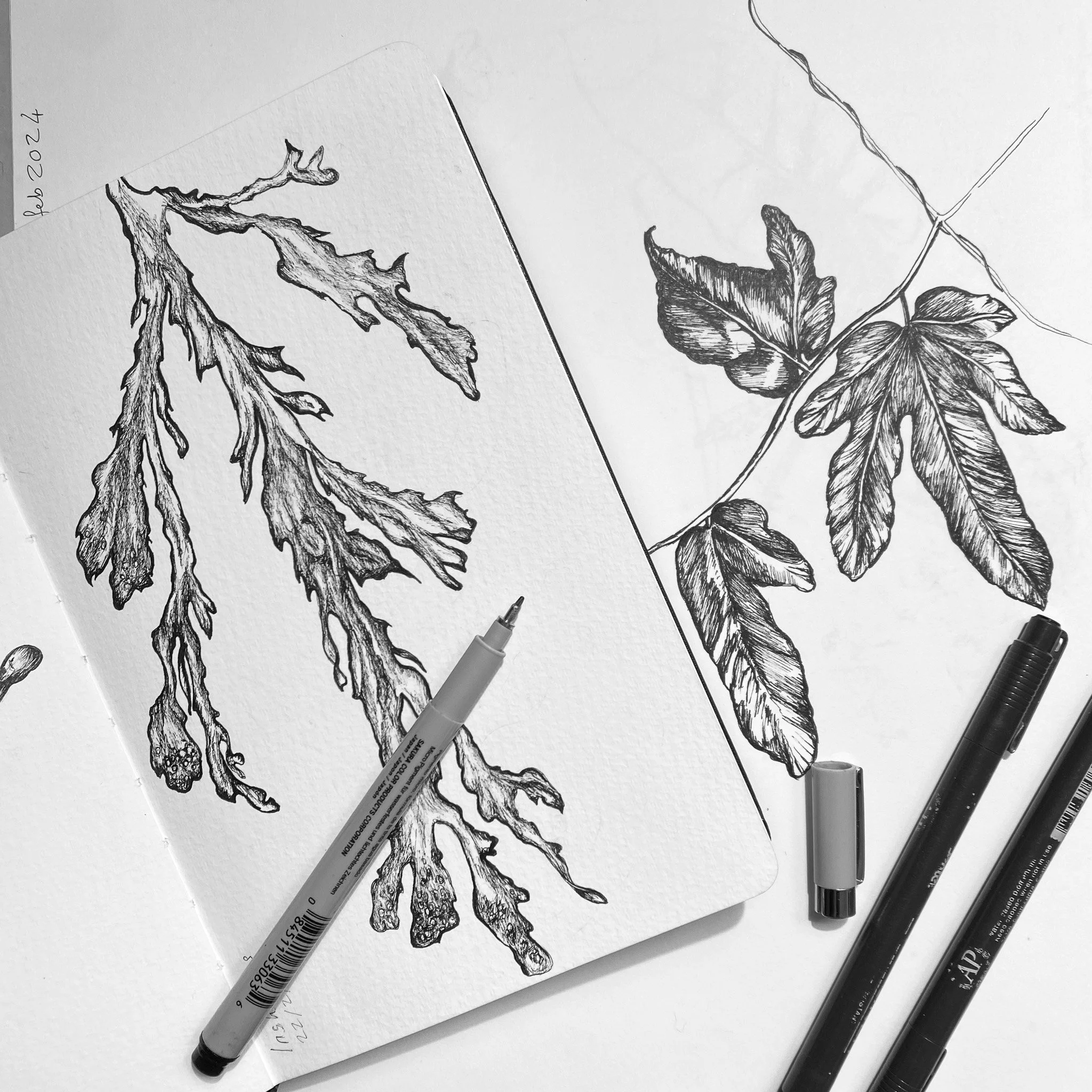 Botany