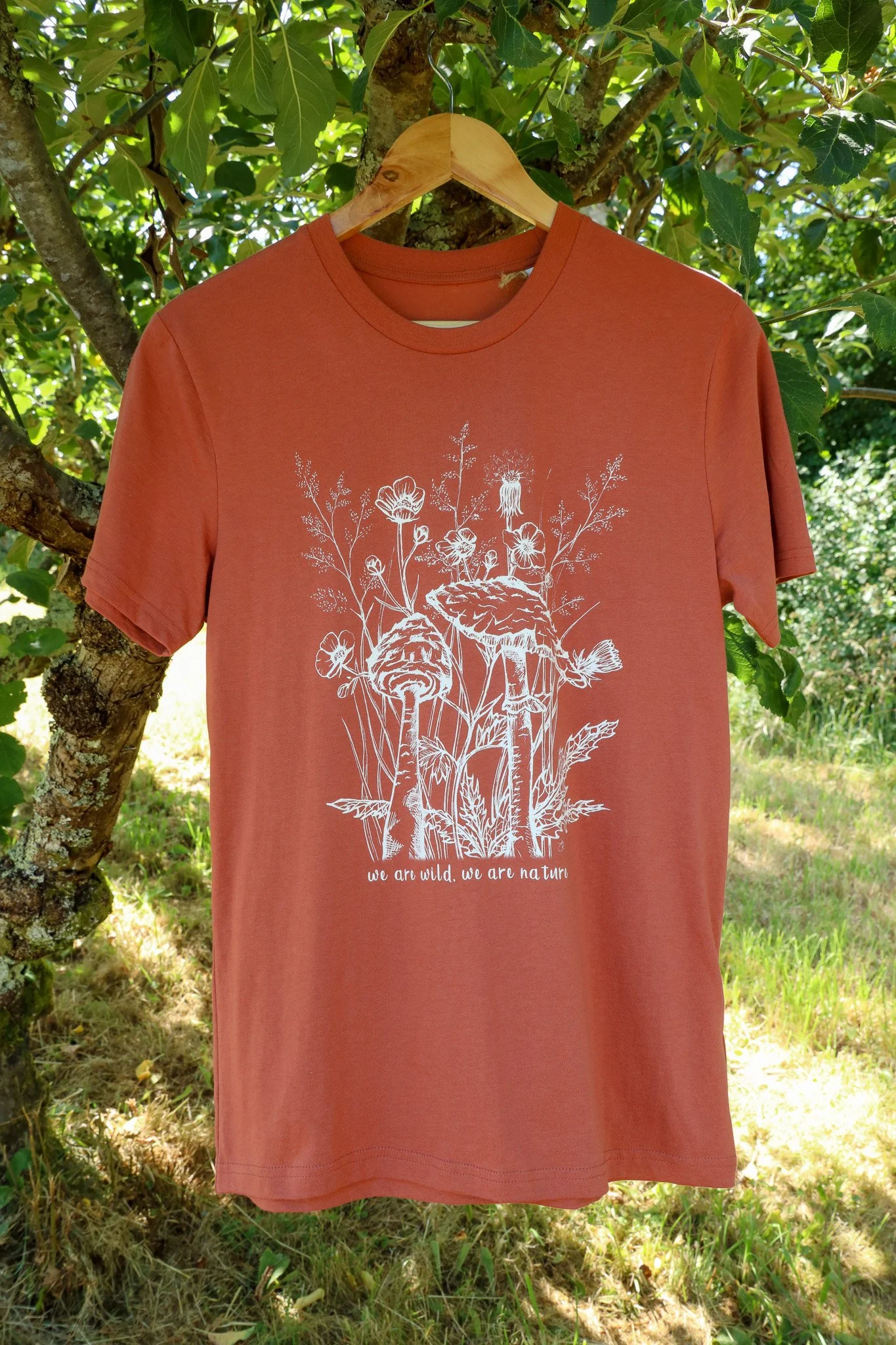 Parasol - HB - T1.jpg
