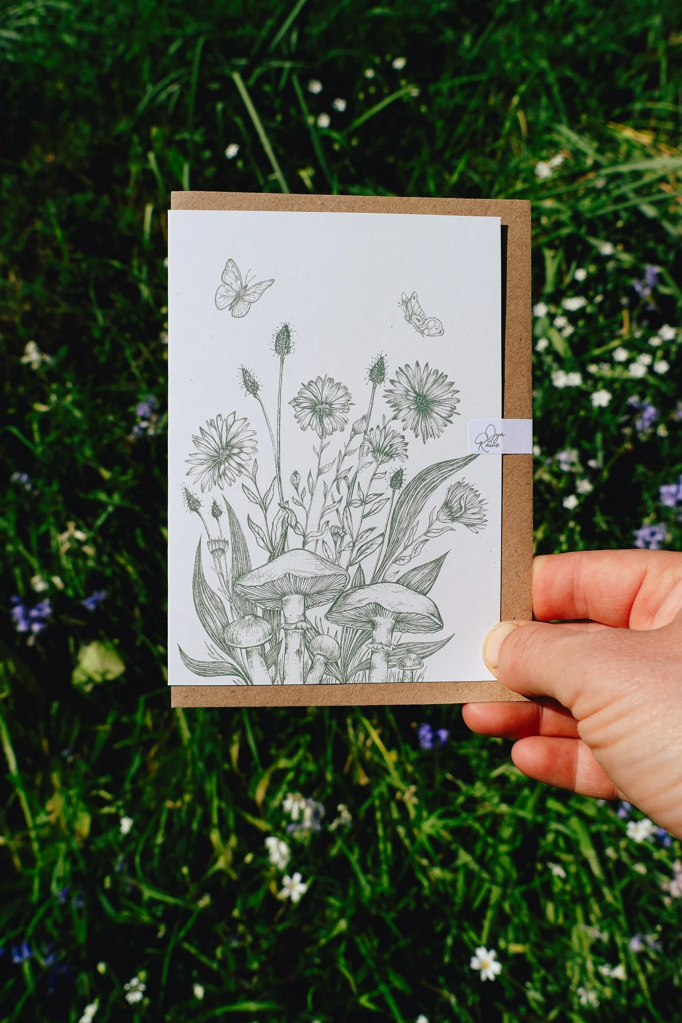 Calendula Botanical Greeting Card