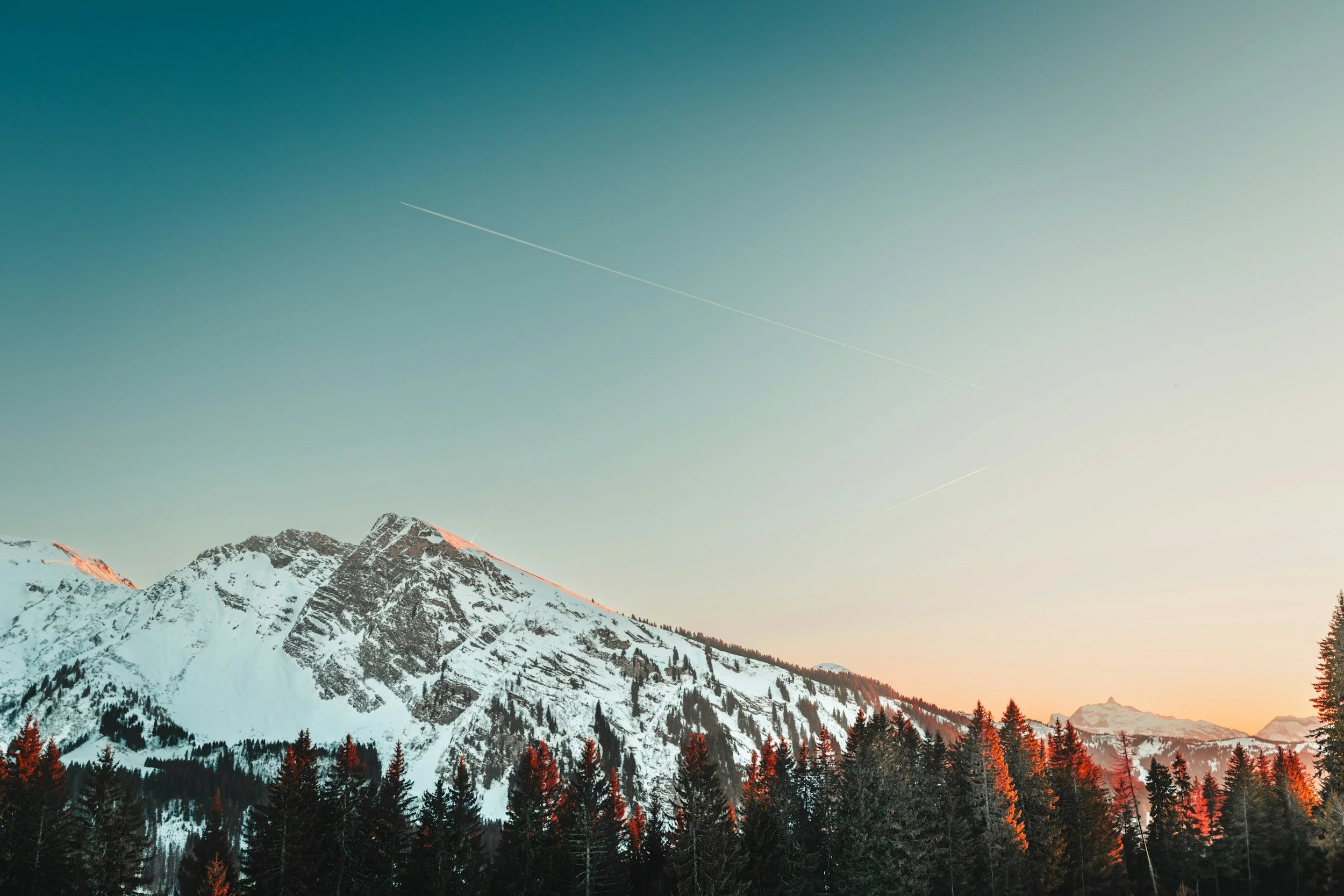 Snow-covered mountains at sunrise with a forest in the foreground and several airplane contrails in the clear sky.