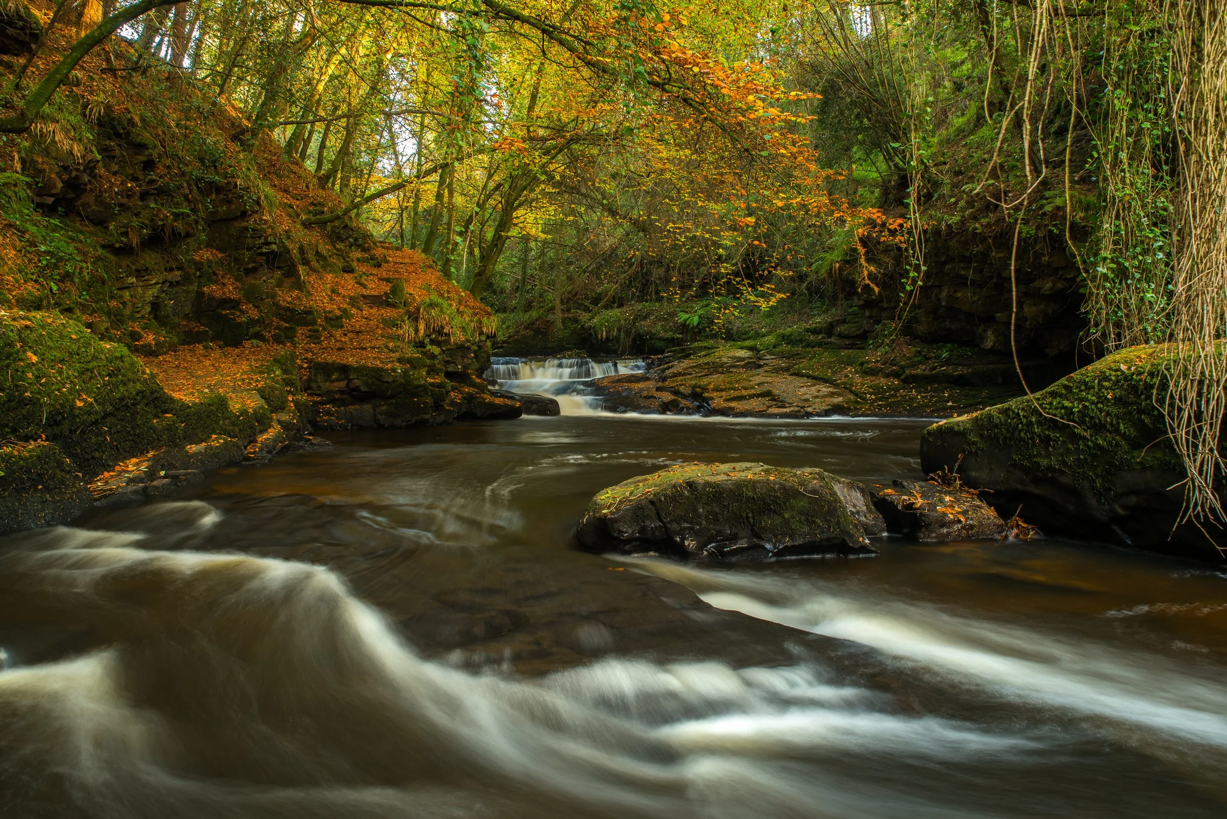 Autumn Flow - Clare Glens   