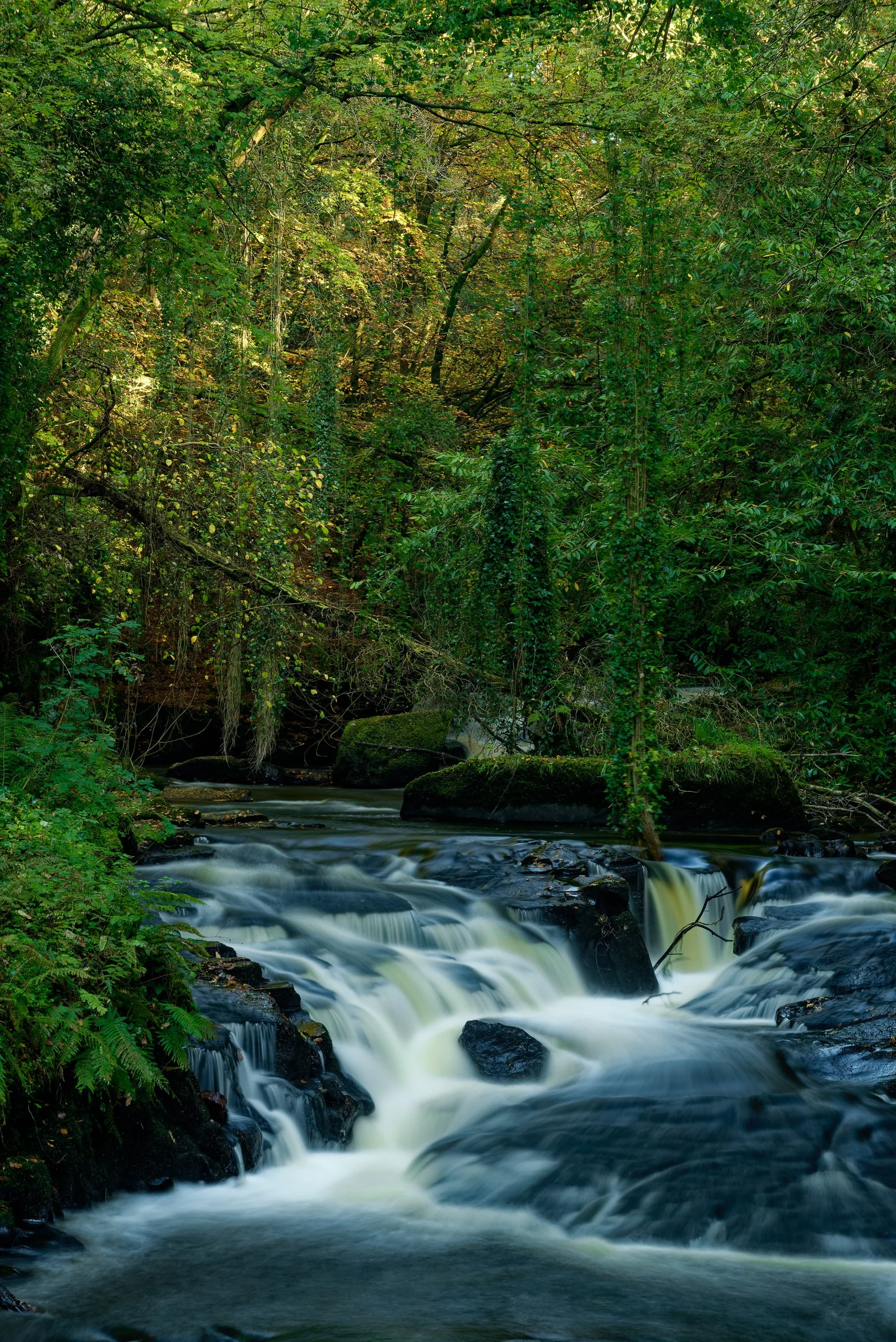 Golden Spotlight Waterfall   