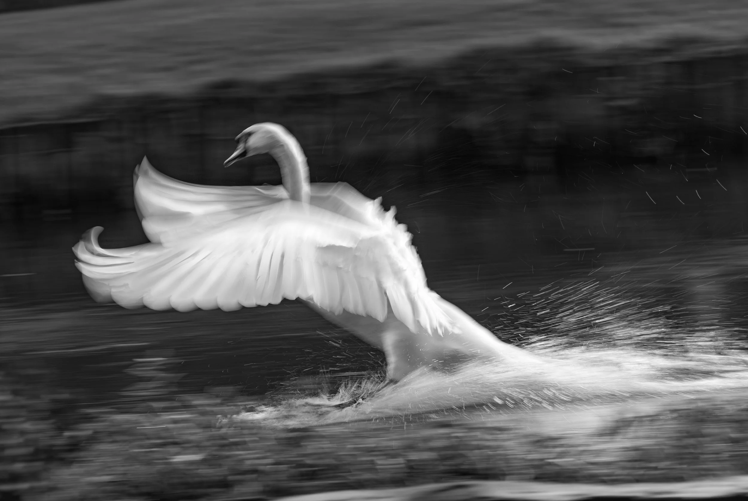 Soft Landing.jpg