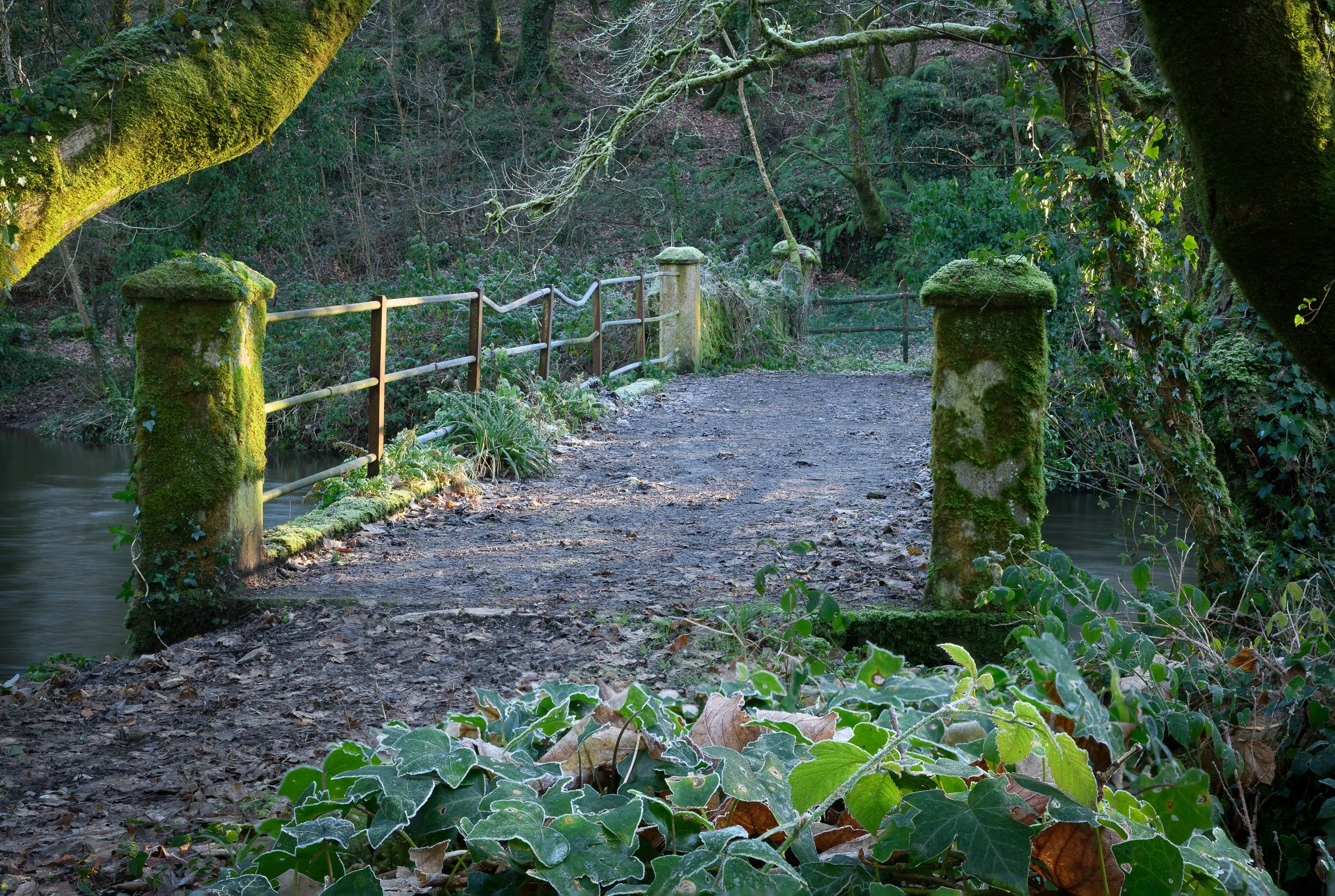 Frosty Morn - Bridge Over Abeg