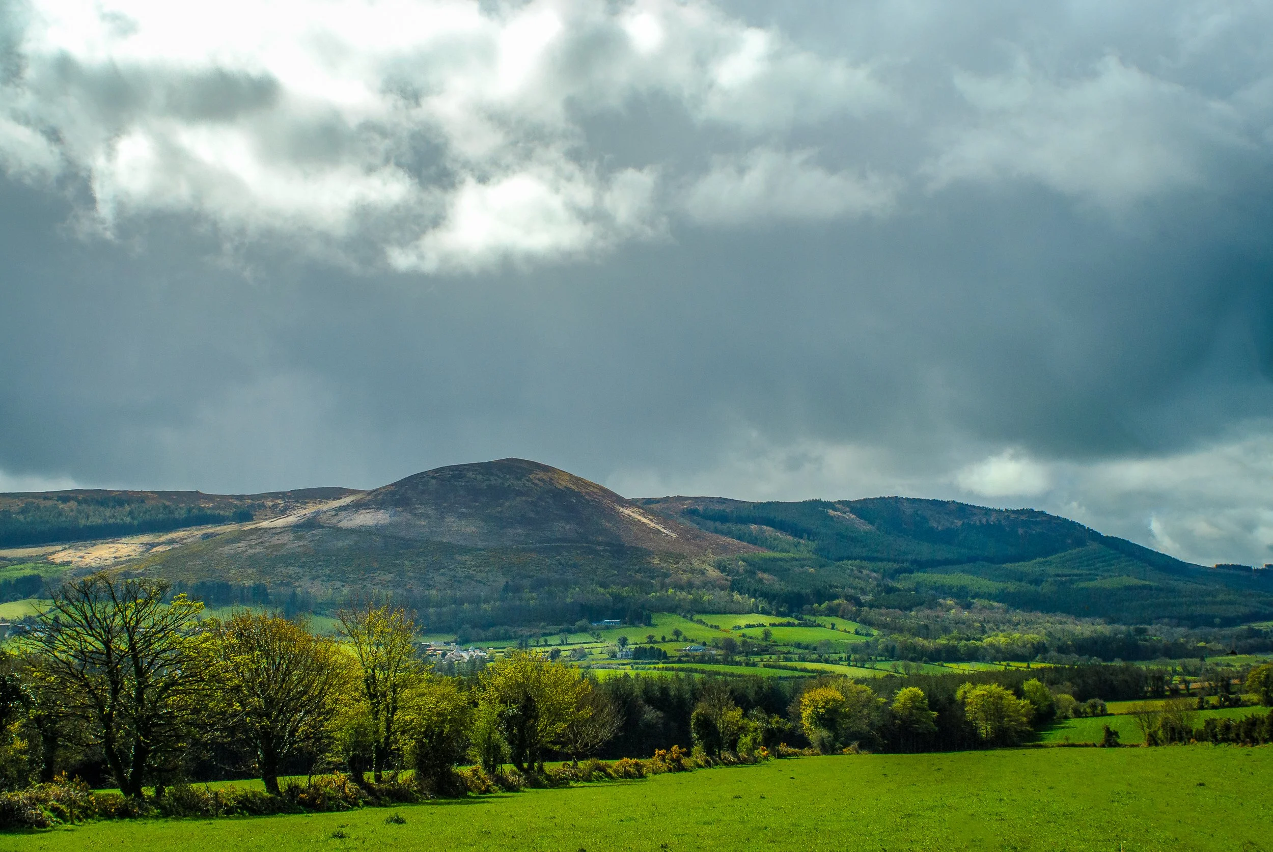 Seefin Mt._DSC.jpg