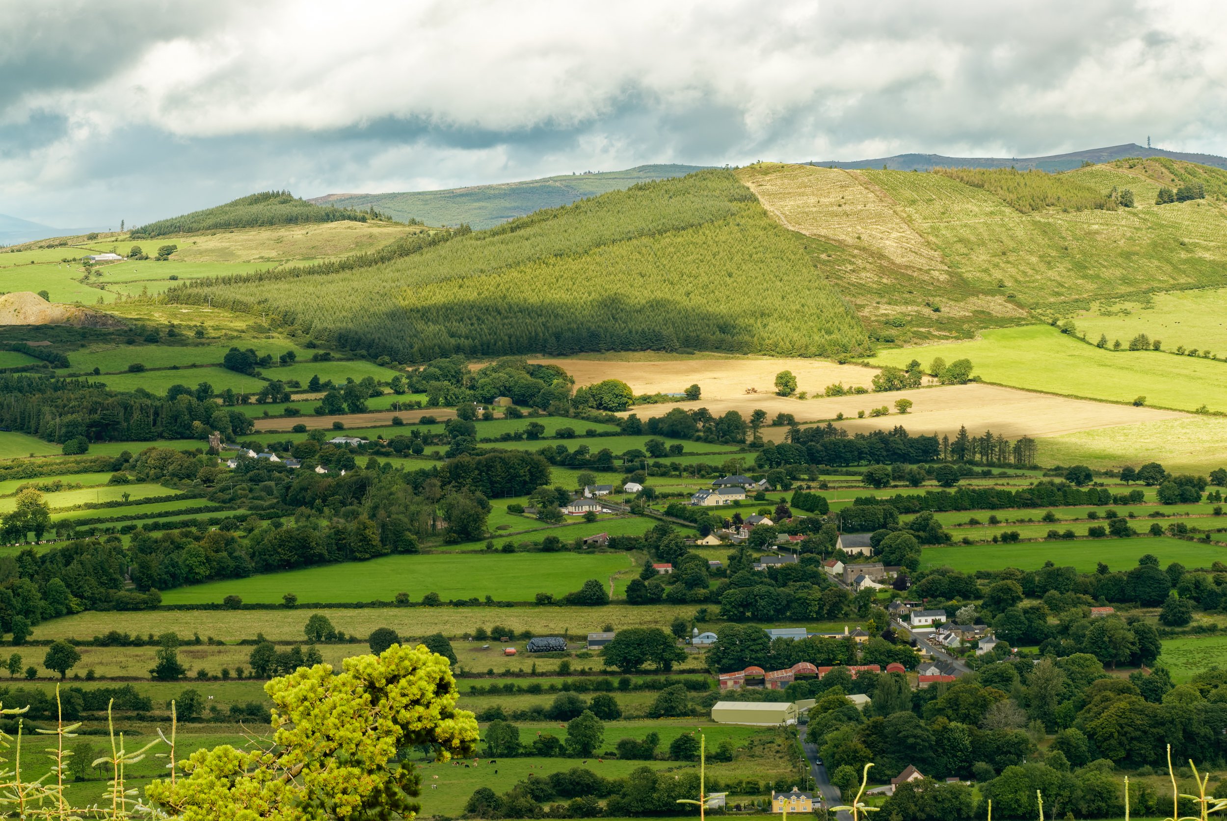 Ballyorgan-0795_DxO.jpg