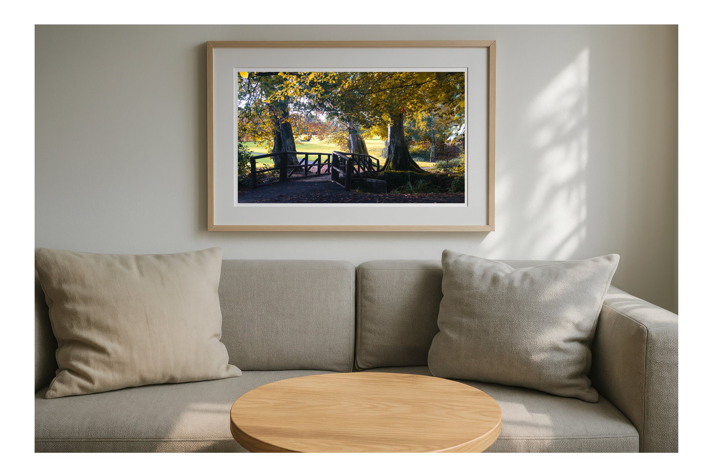 Autumn Doneraile Park.jpg
