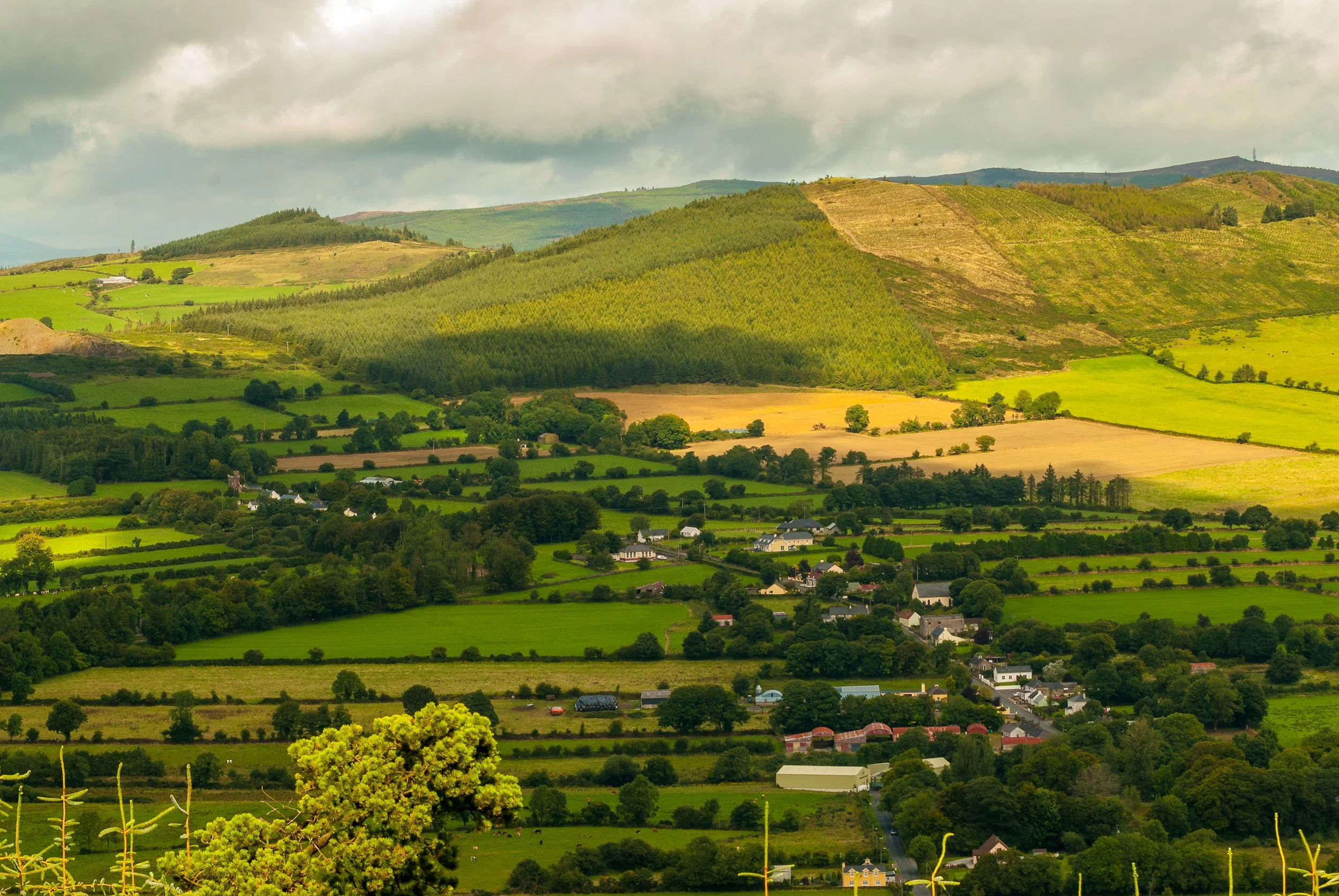 Ballyorgan.jpg
