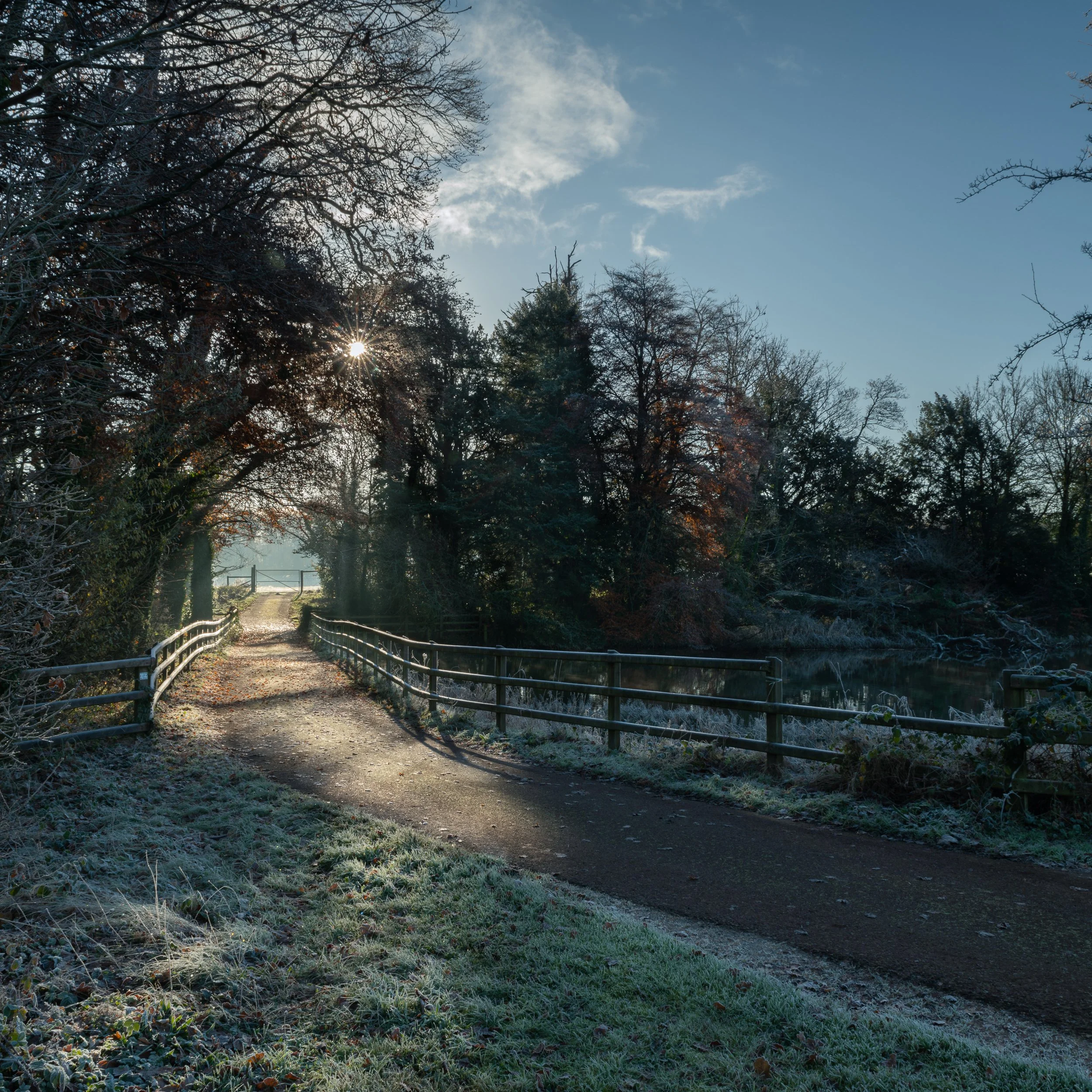 Frosty Sunrise.jpg