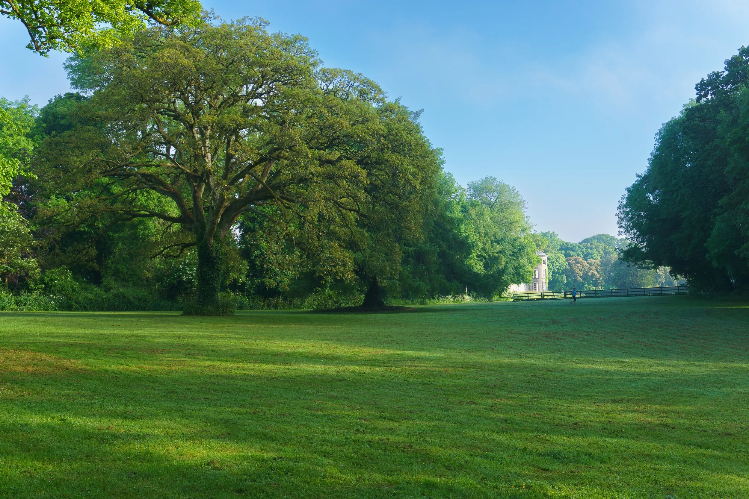 Doneraile Park_DSC2300.jpg