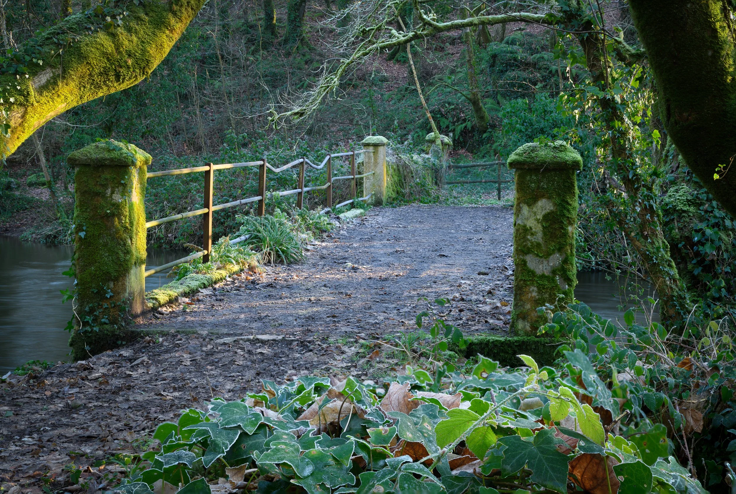  Frosty Morn - Bridge over Abeg 

 